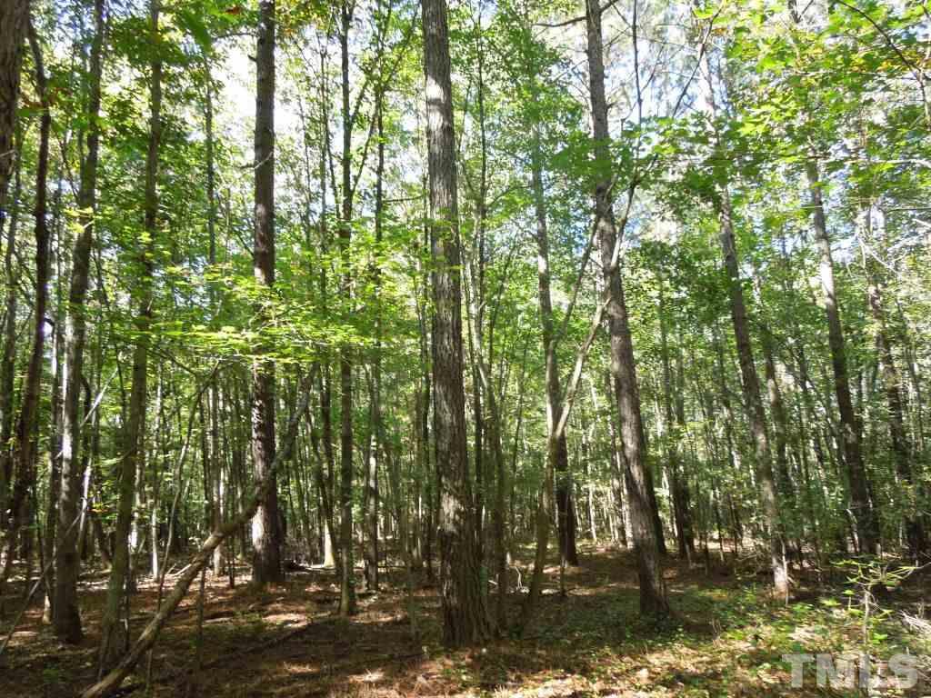 98 Highway 98 Spring Hope, NC 27882 - Photo 13 of 27 Gallery Image 13