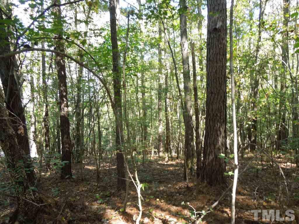 98 Highway 98 Spring Hope, NC 27882 - Photo 14 of 27 Gallery Image 14