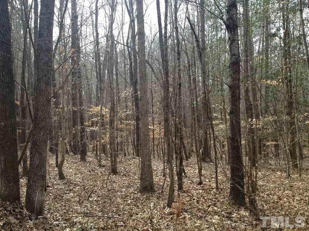 98 Highway 98 Spring Hope, NC 27882 - Photo 3 of 27 Gallery Image 3
