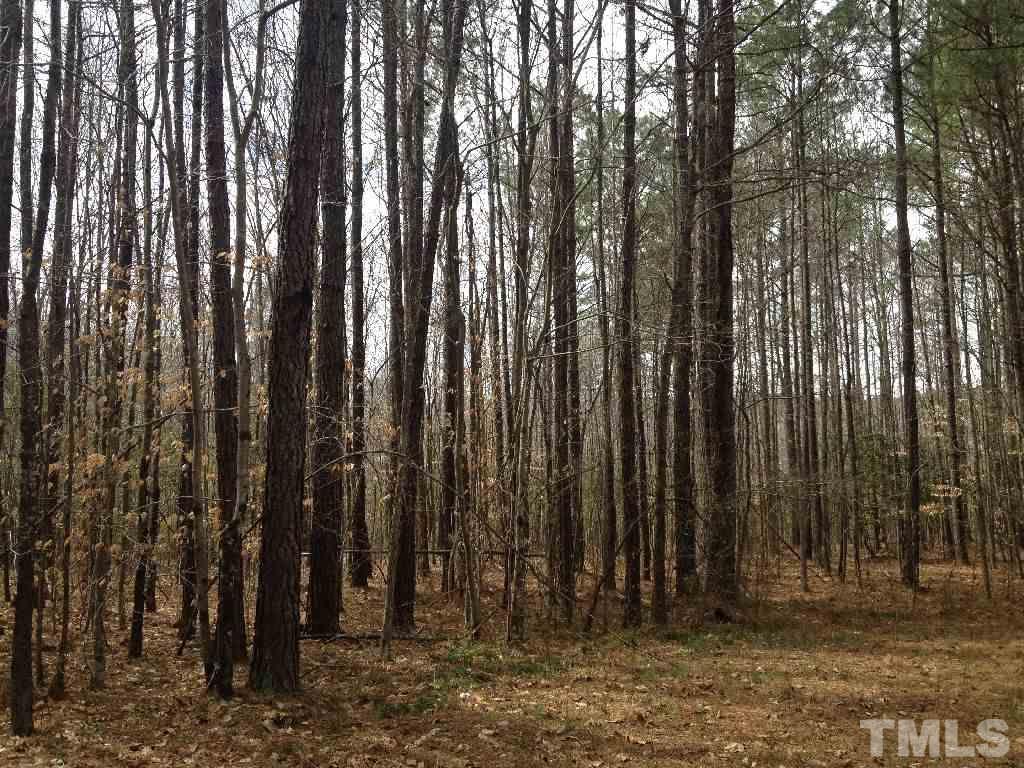 98 Highway 98 Spring Hope, NC 27882 - Photo 8 of 27 Gallery Image 8
