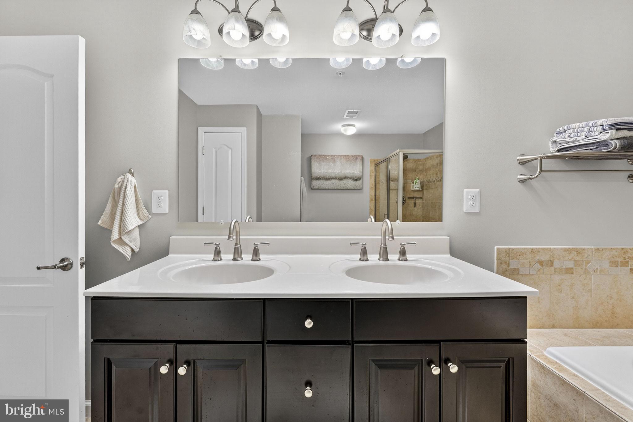 42558 Sunset Ridge Square Ashburn, VA 20148 - Photo 39 of 51 a bathroom with a sink vanity and a mirror