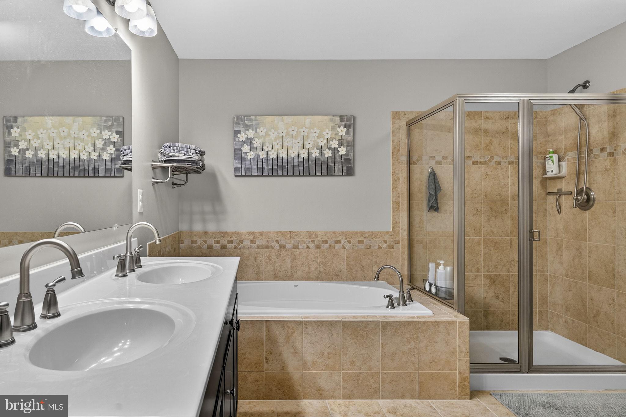42558 Sunset Ridge Square Ashburn, VA 20148 - Photo 40 of 51 a bathroom with a tub a sink and mirror