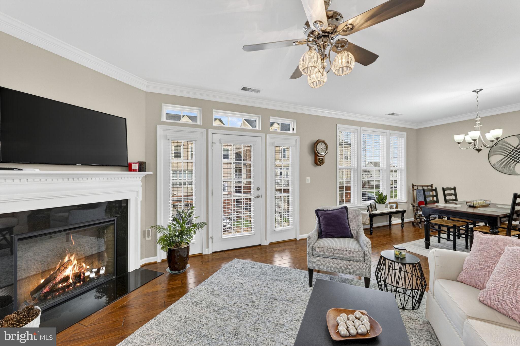42558 Sunset Ridge Square Ashburn, VA 20148 - Photo 10 of 51 a living room with furniture a flat screen tv and a fireplace