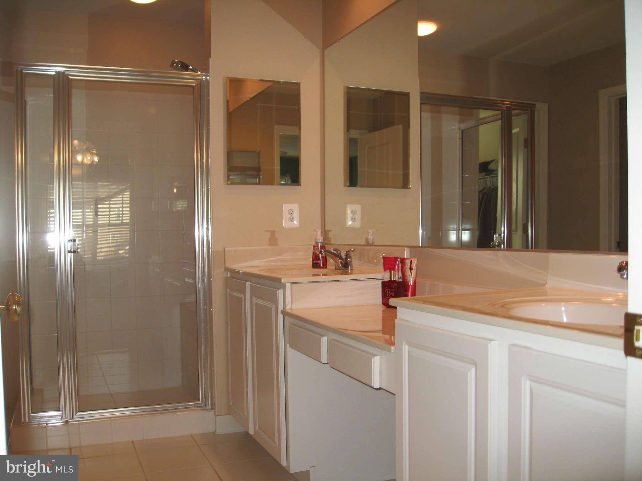 9004 Ribbon Falls Loop Bristow, VA 20136 - Photo 14 of 27 Bath (Master)