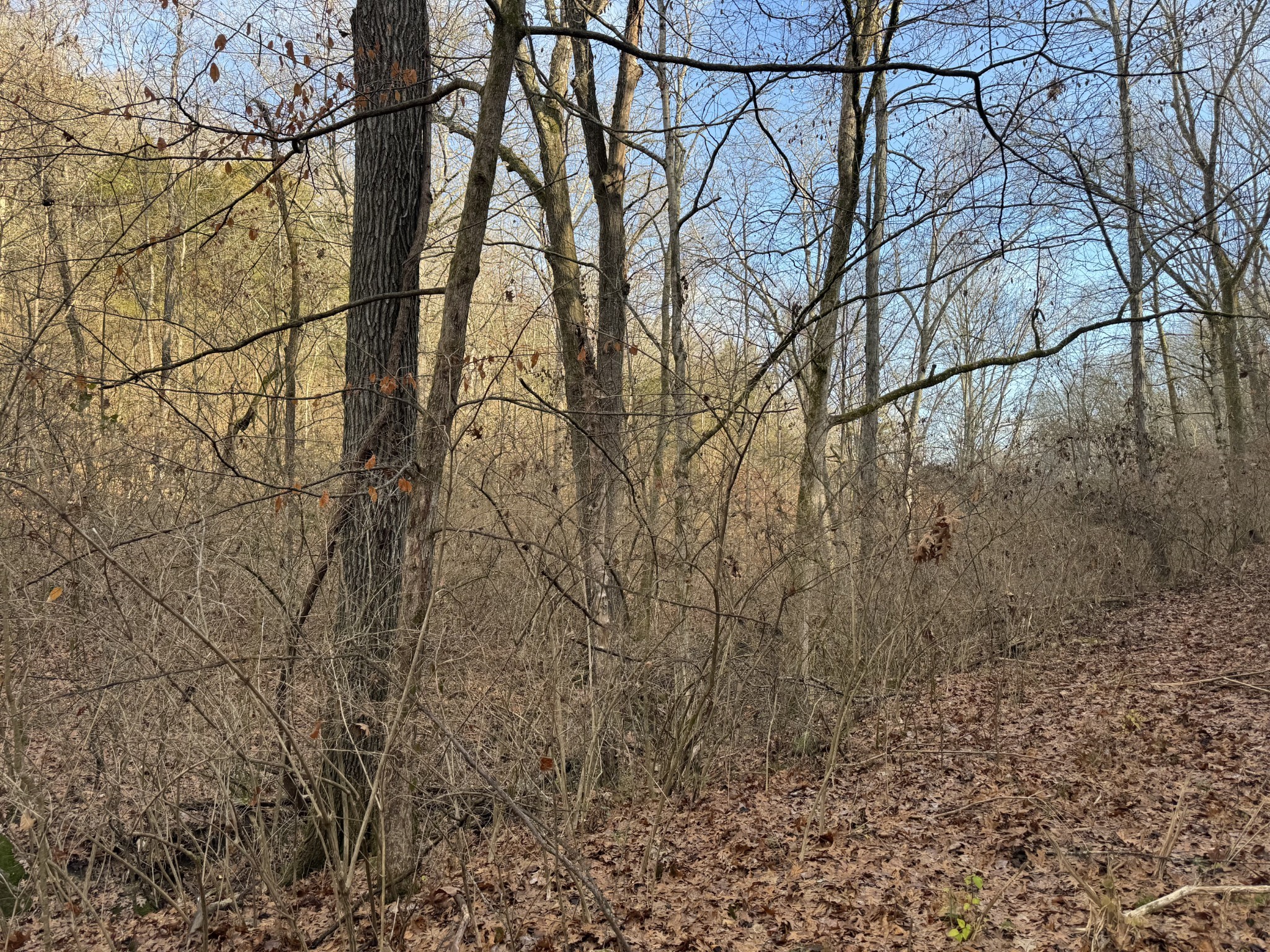 0 Sawyer Brown Road Nashville, TN 37209 - Photo 3 of 3