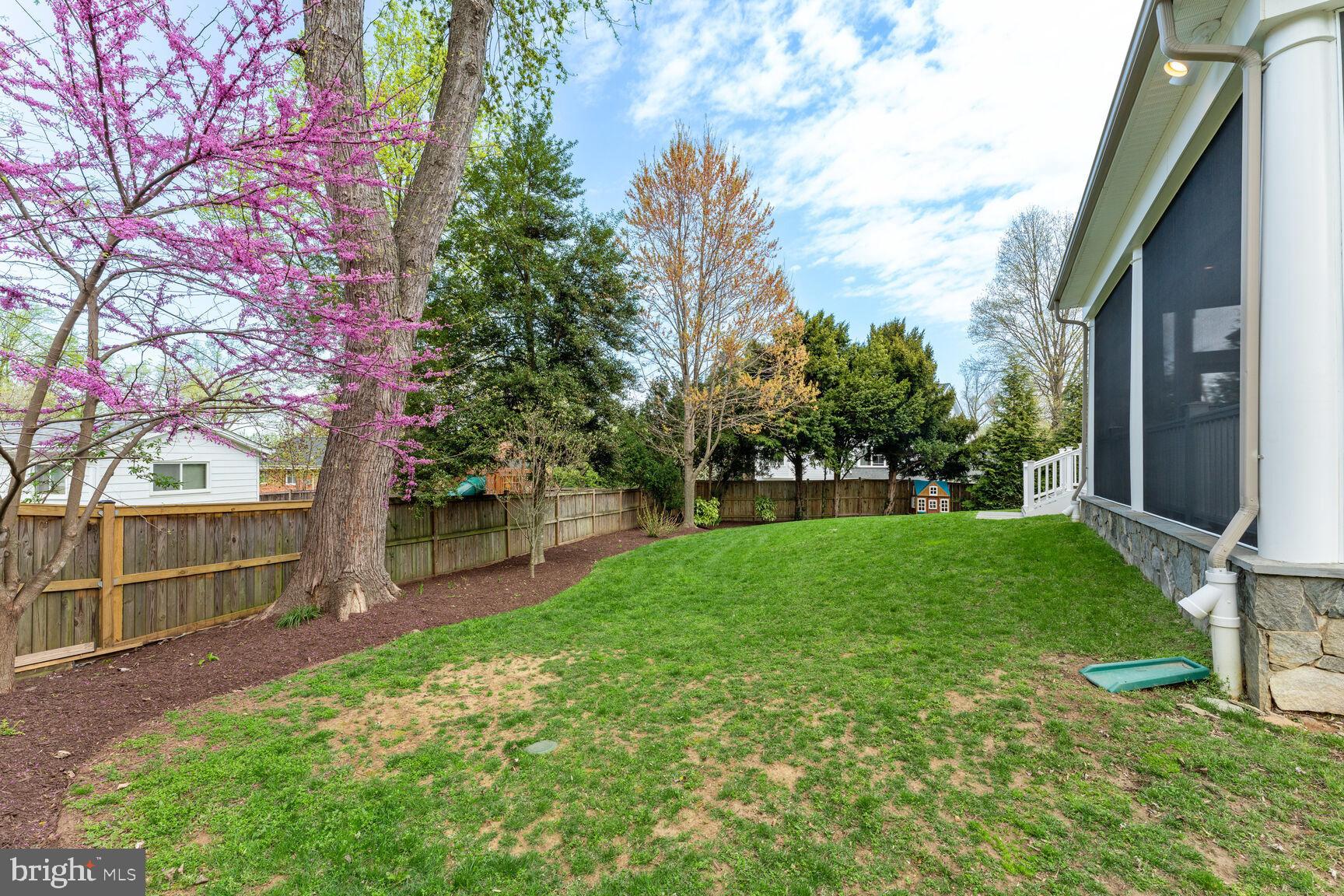 7708 Massena Road Bethesda, MD 20817 - Photo 69 of 78 Back Yard