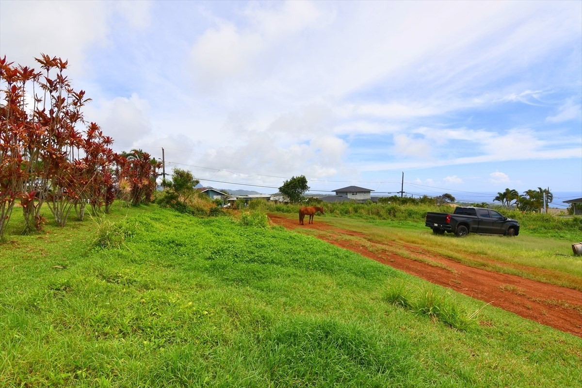 3789 Waha Road Kalaheo, HI 96741 - Photo 5 of 6 Gallery Image 5