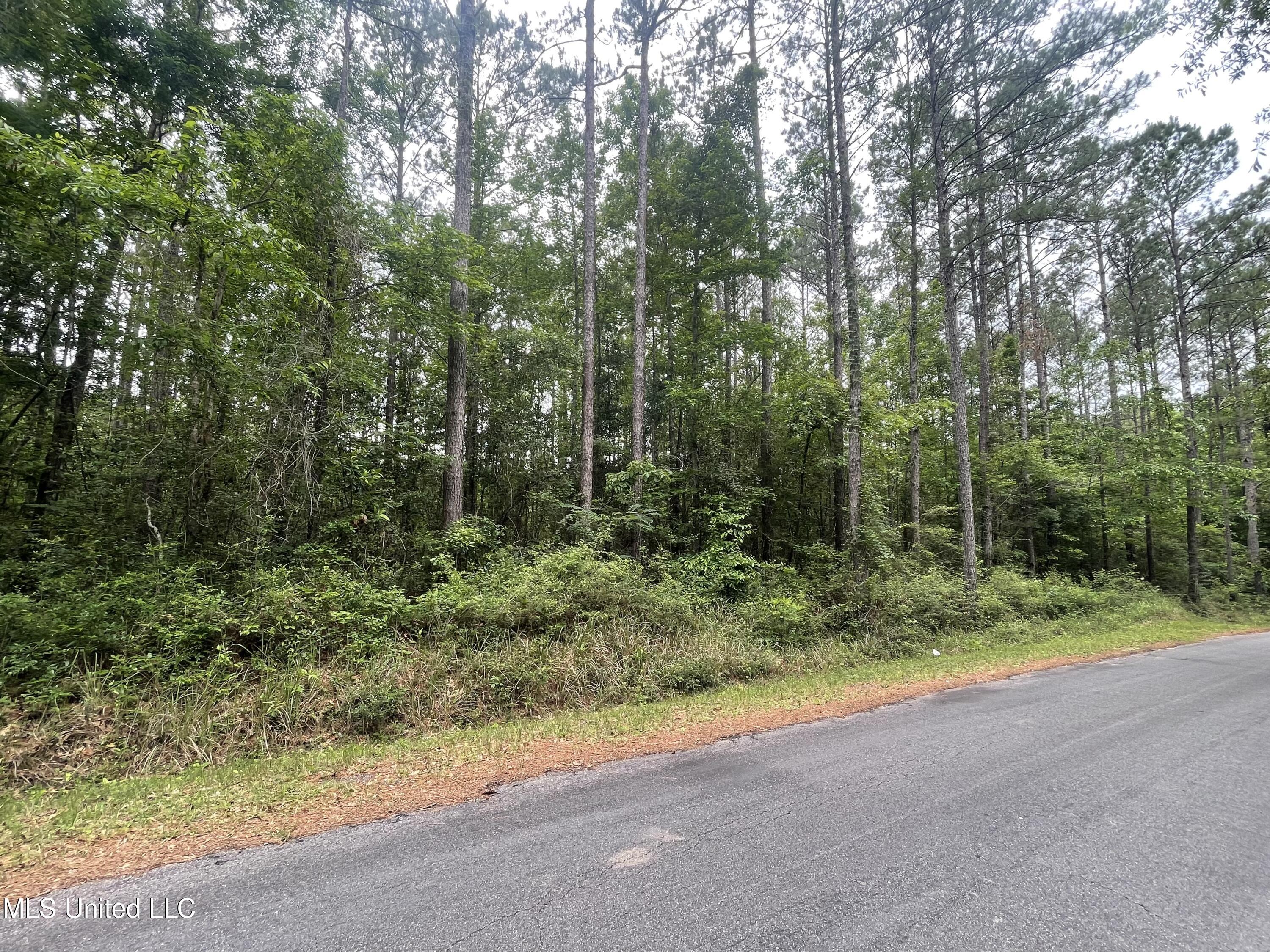 261 Music Mountain Road Lucedale, MS 39452 - Photo 1 of 6 Land