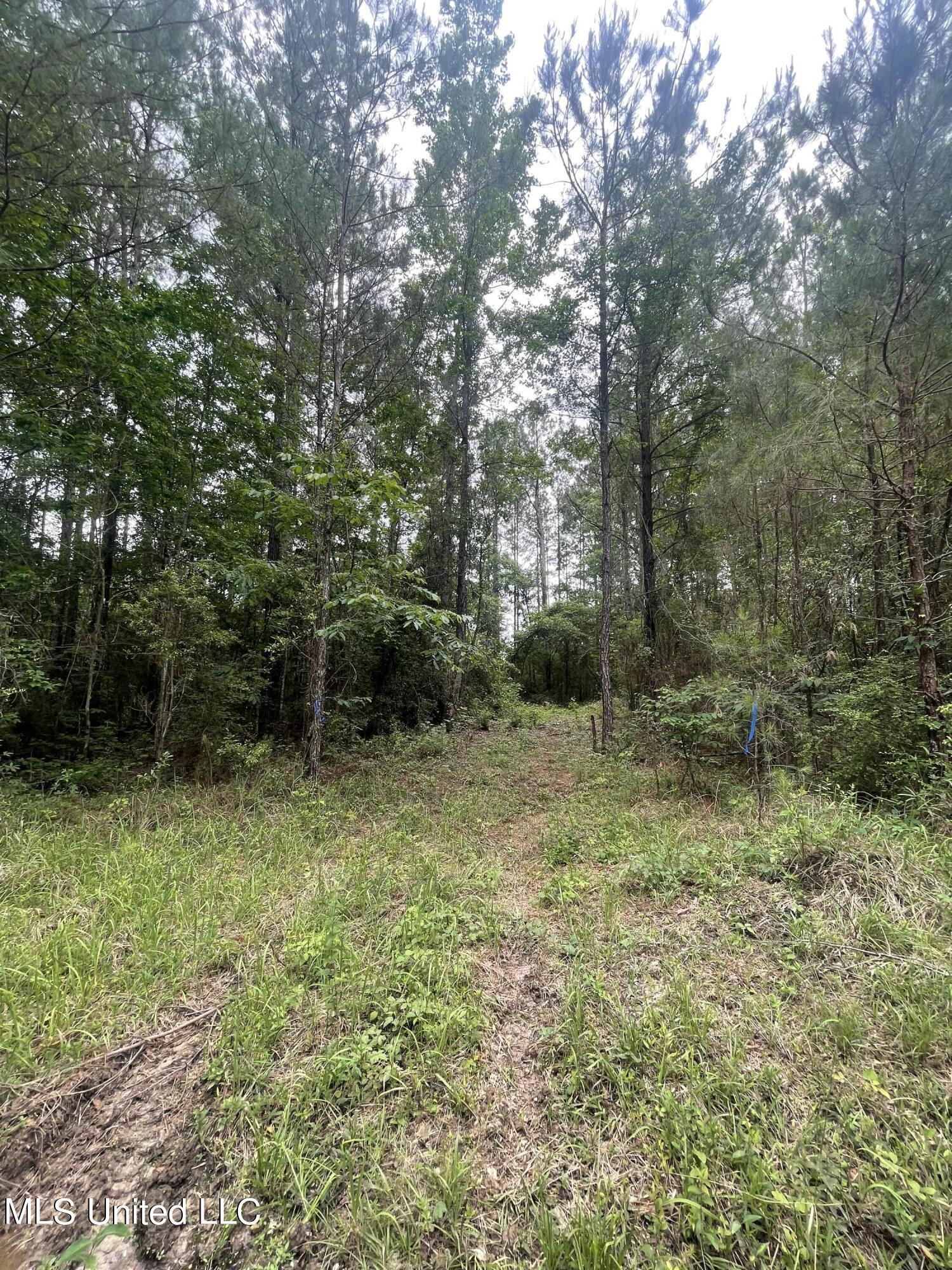 261 Music Mountain Road Lucedale, MS 39452 - Photo 5 of 6 7D6301A0-D8CE-4F53-9ACC-3A74F67766D4