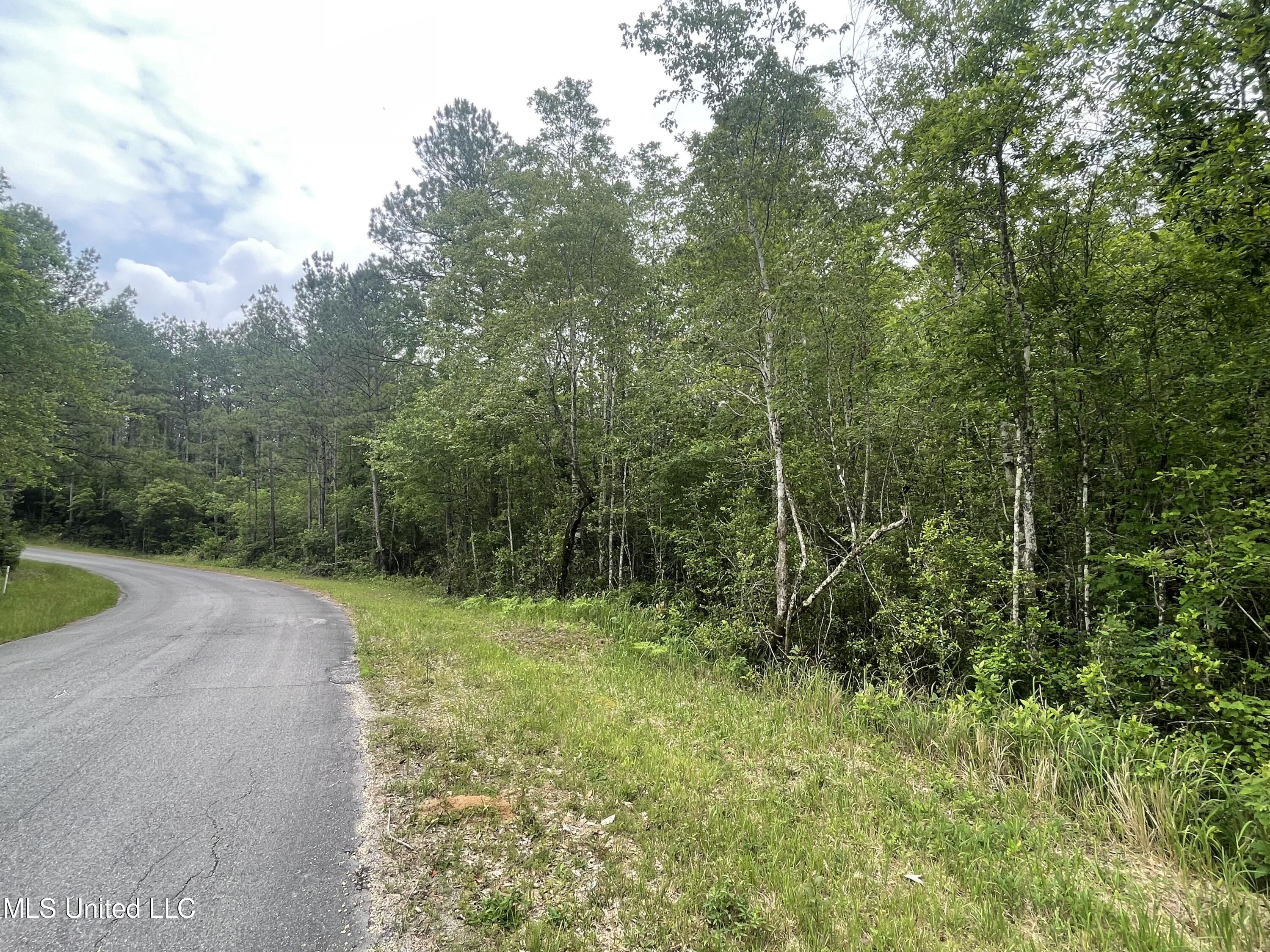 261 Music Mountain Road Lucedale, MS 39452 - Photo 6 of 6 239BD05A-9DF4-4FDD-AD19-974685141CF5