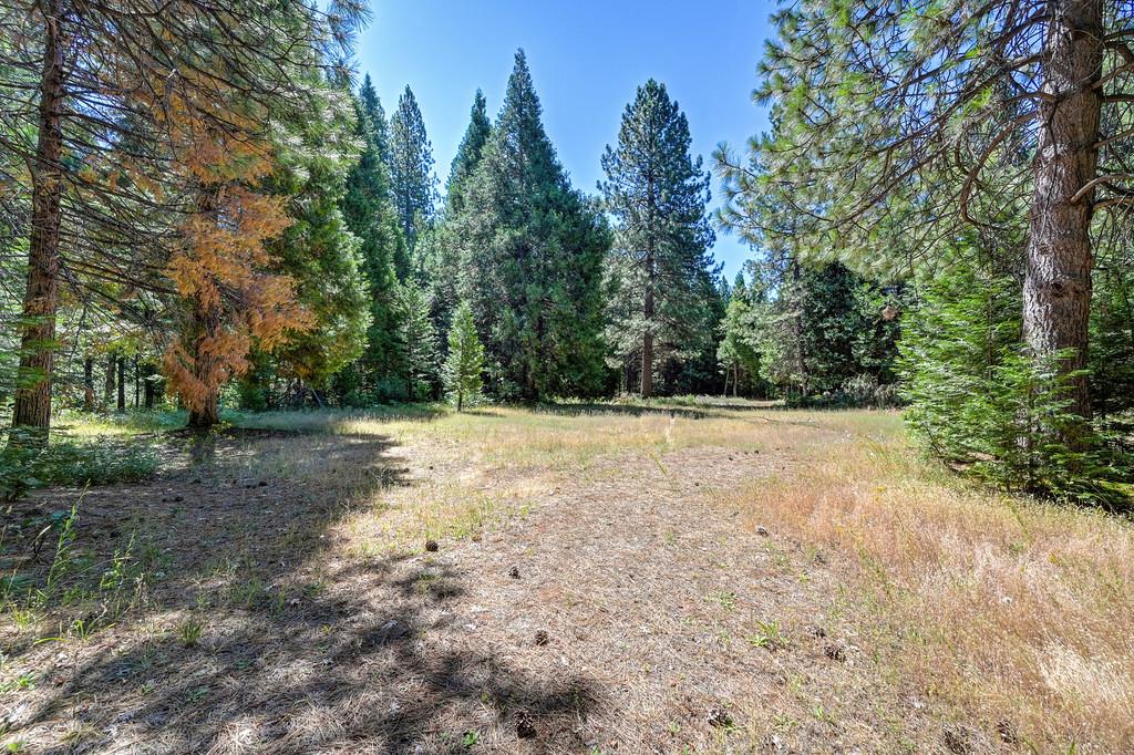 530 Caine Road Alta, CA 95701 - Photo 24 of 77