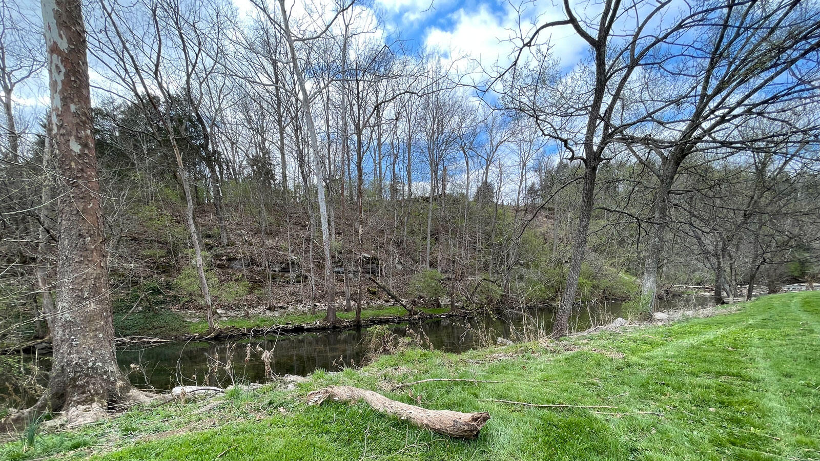 810 Grows Mill Road Wilmore, KY 40390 - Photo 48 of 63 Creek-3
