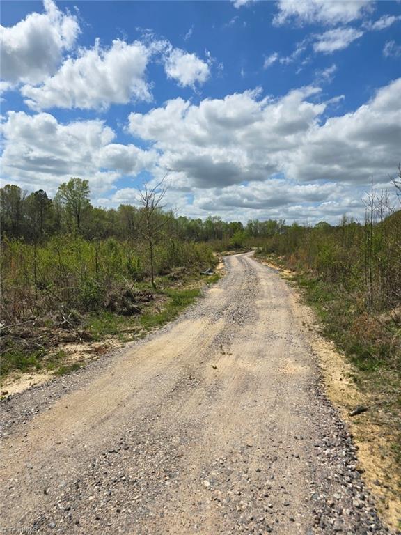 0 Riverside Road Seagrove, NC 27341 - Photo 2 of 9 Gravel drive/access already in place.