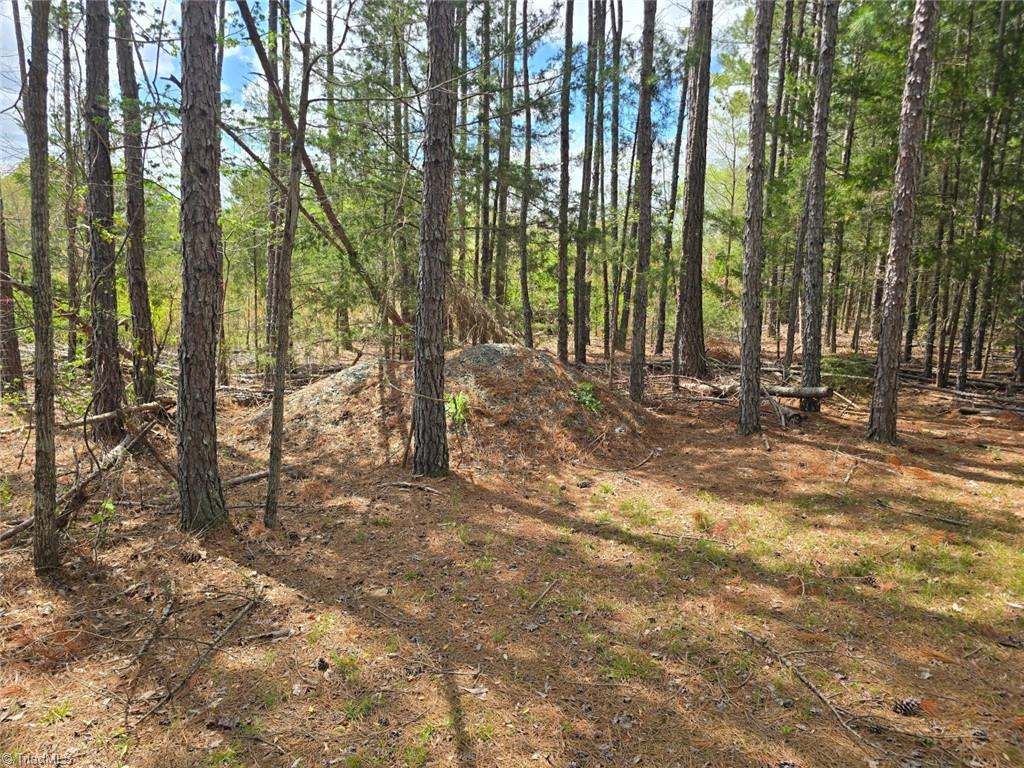 0 Riverside Road Seagrove, NC 27341 - Photo 5 of 9