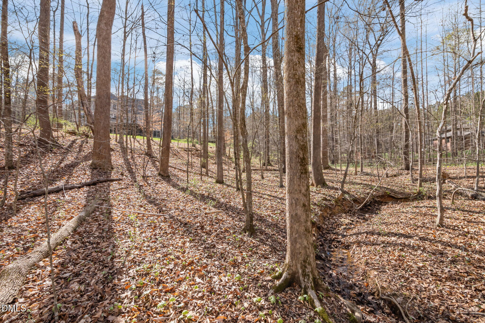 825 Oxbow Crossing Road Chapel Hill, NC 27516 - Photo 74 of 86 14-web-or-mls-P1111499