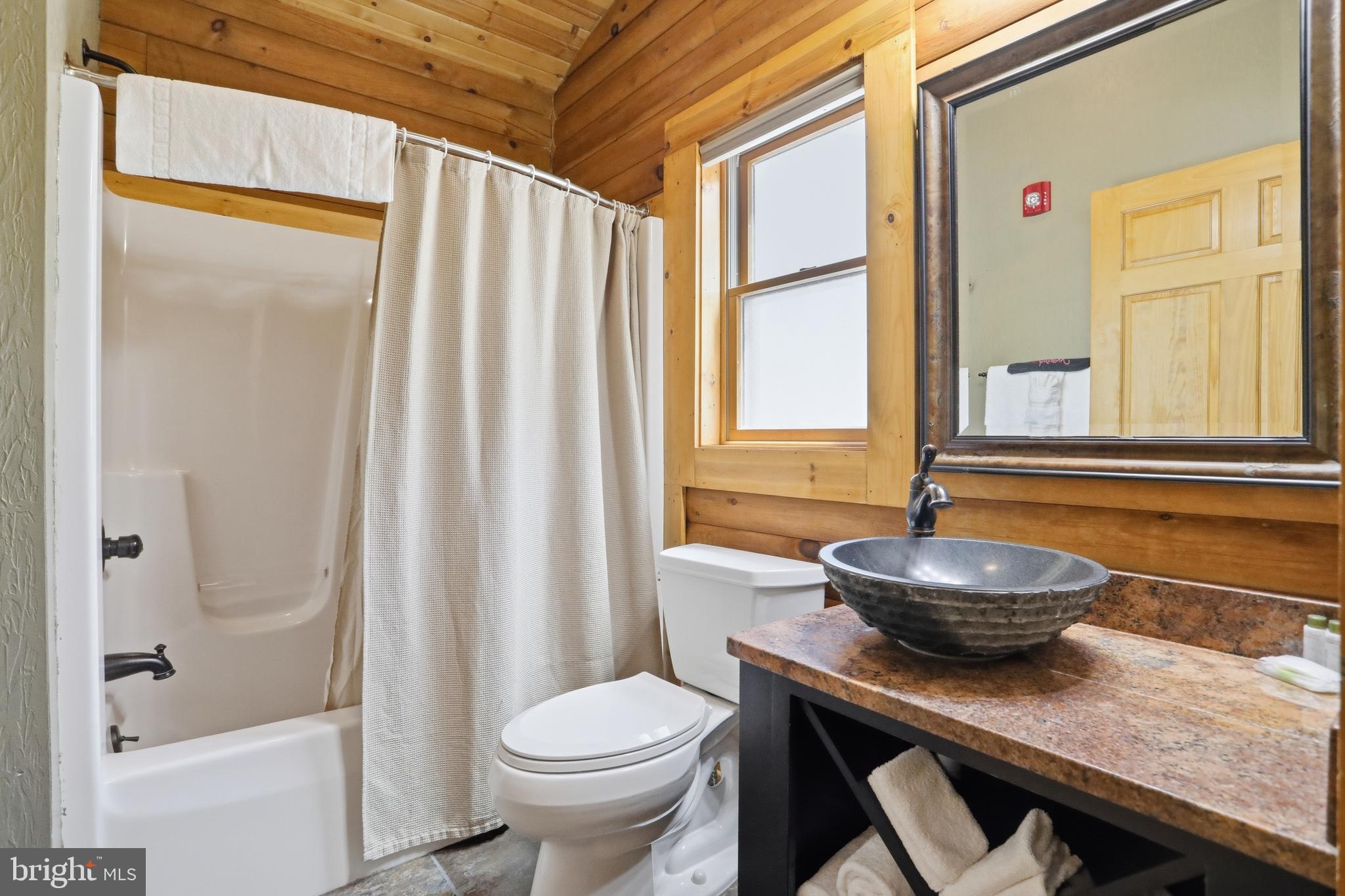 199 Cabin Lodge Road McHenry, MD 21541 - Photo 10 of 19