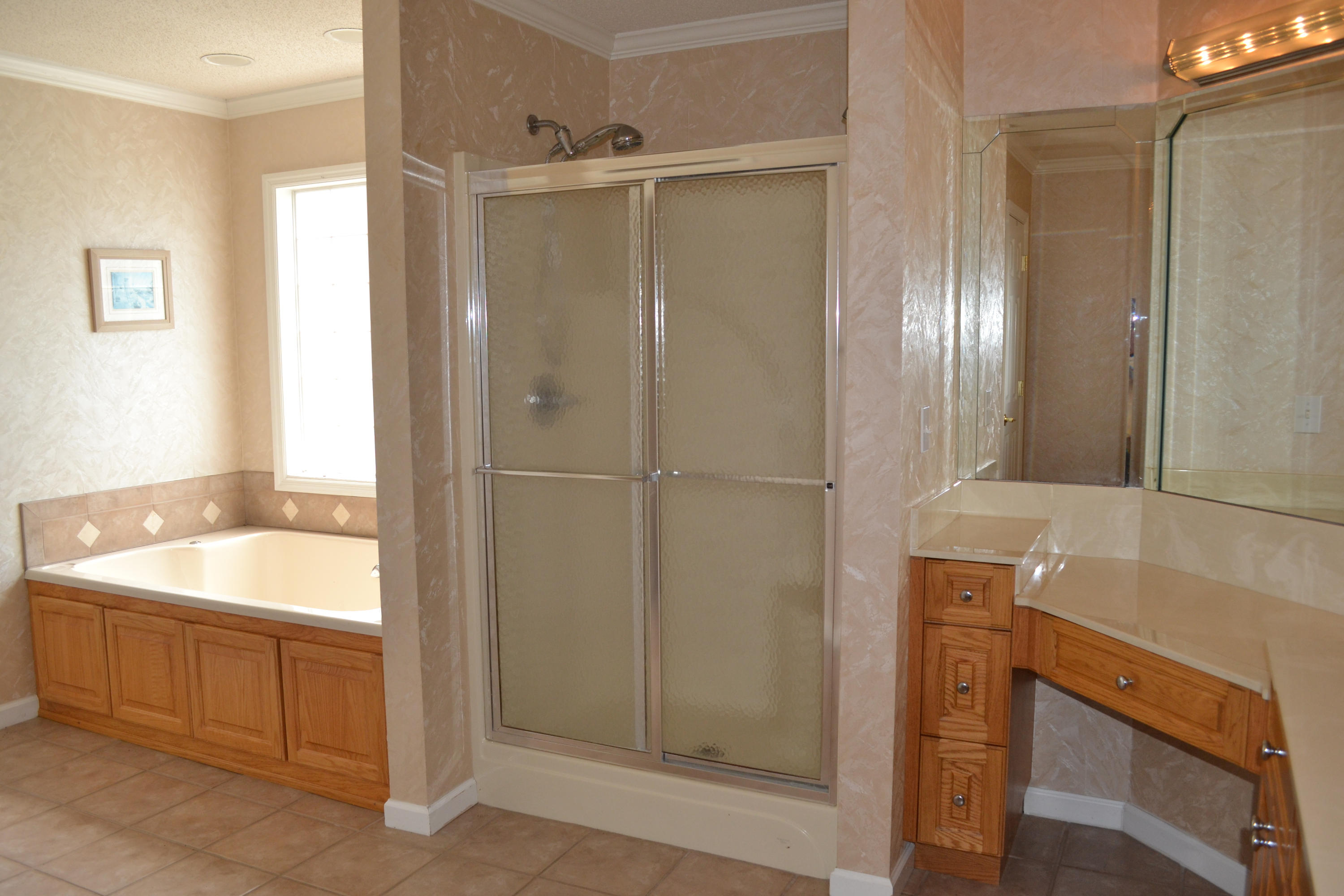 4407 Clonts Road Apison, TN 37302 - Photo 25 of 40 Master bath 3