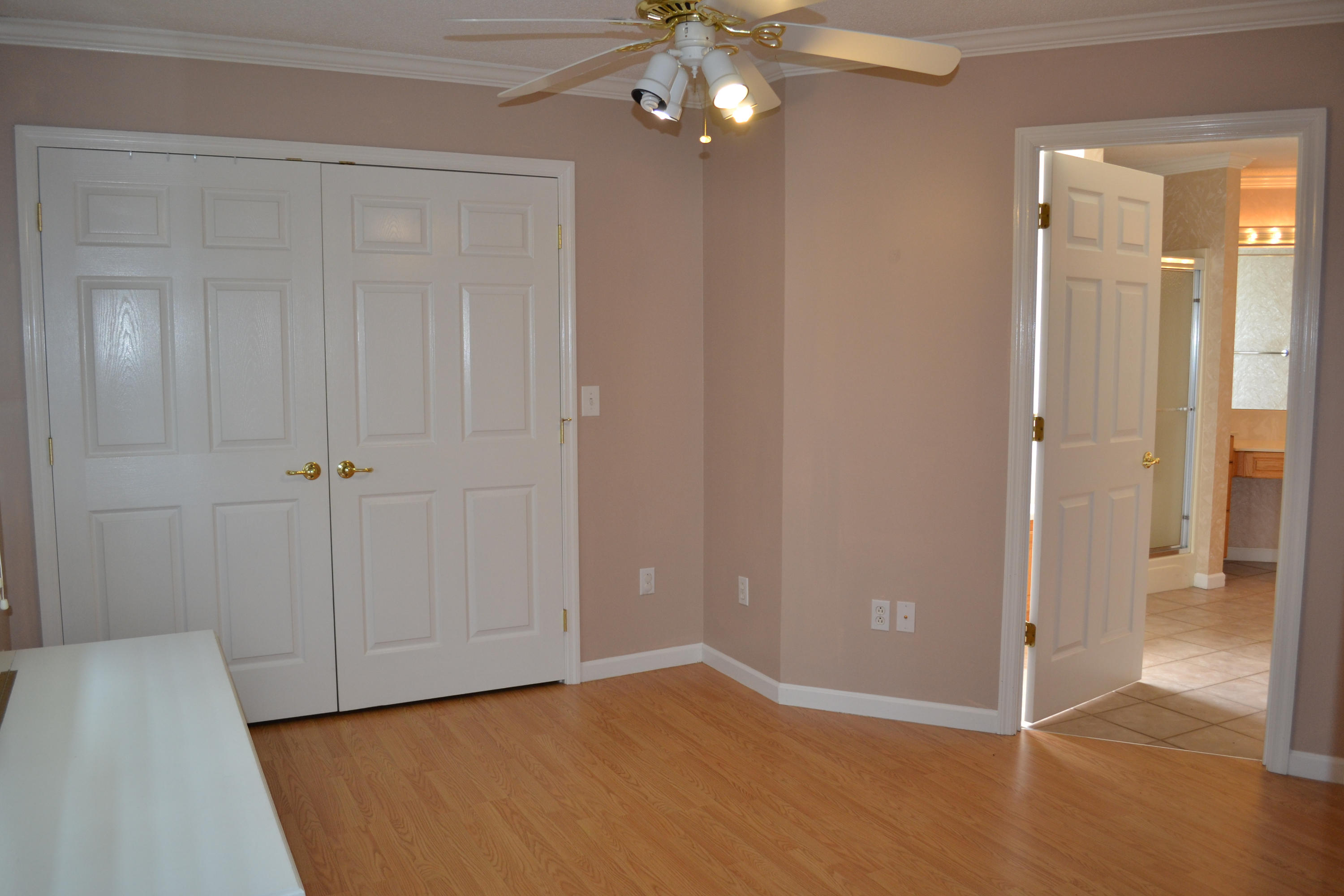 4407 Clonts Road Apison, TN 37302 - Photo 26 of 40 Master dressing room
