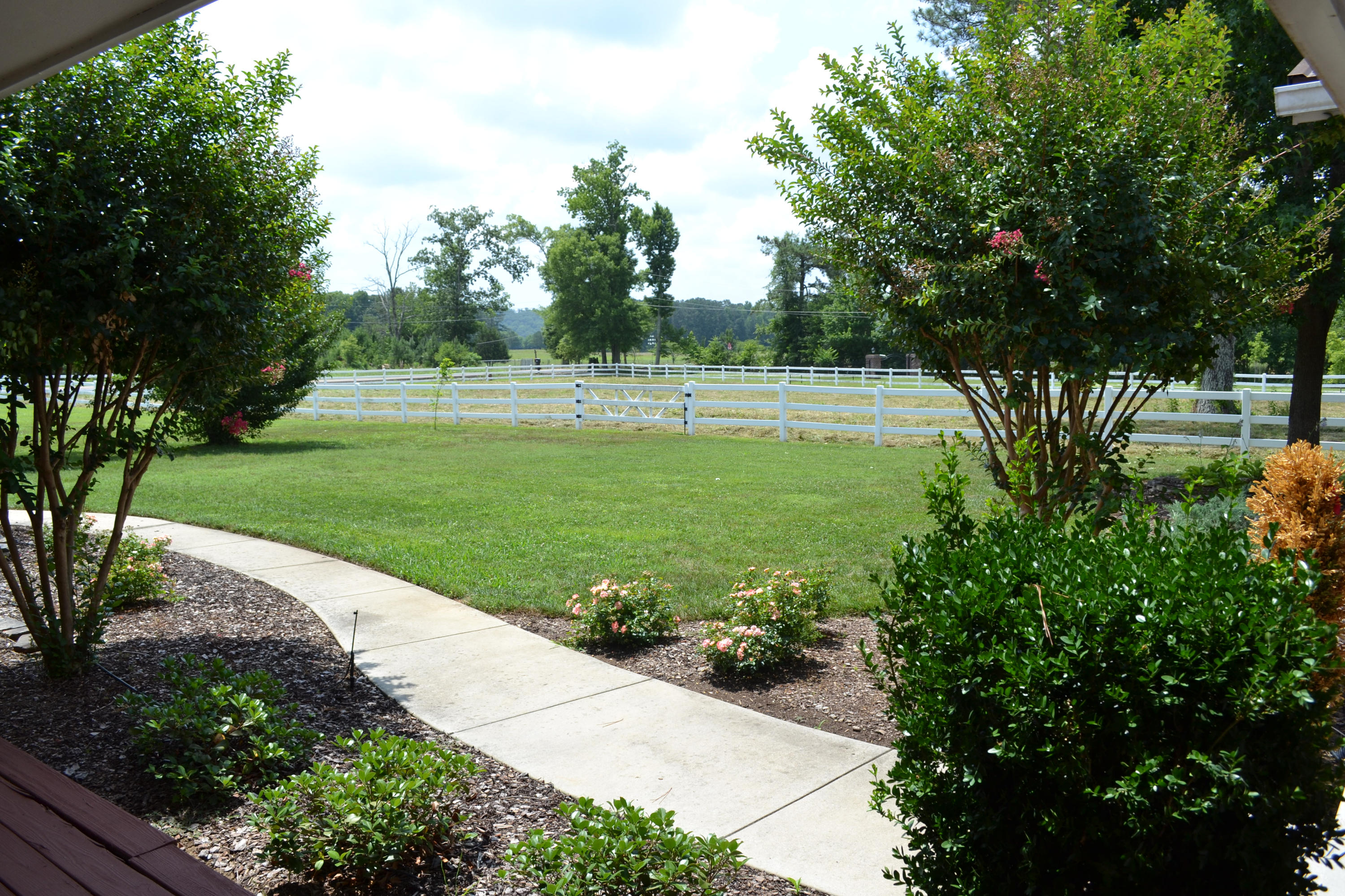 4407 Clonts Road Apison, TN 37302 - Photo 4 of 40 View from the front porch