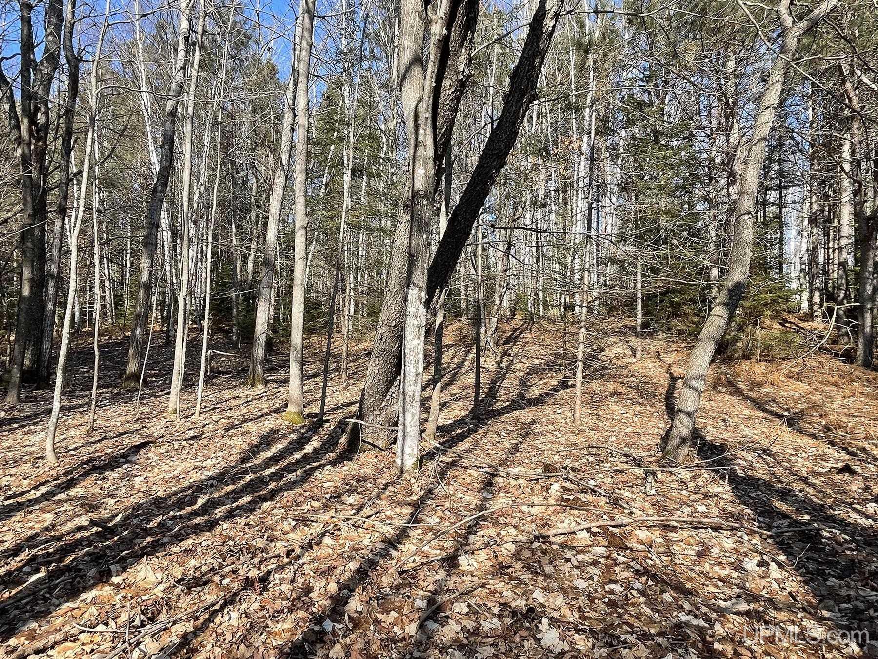 2330 S Little Harbor Road Manistique, MI 49854 - Photo 24 of 55