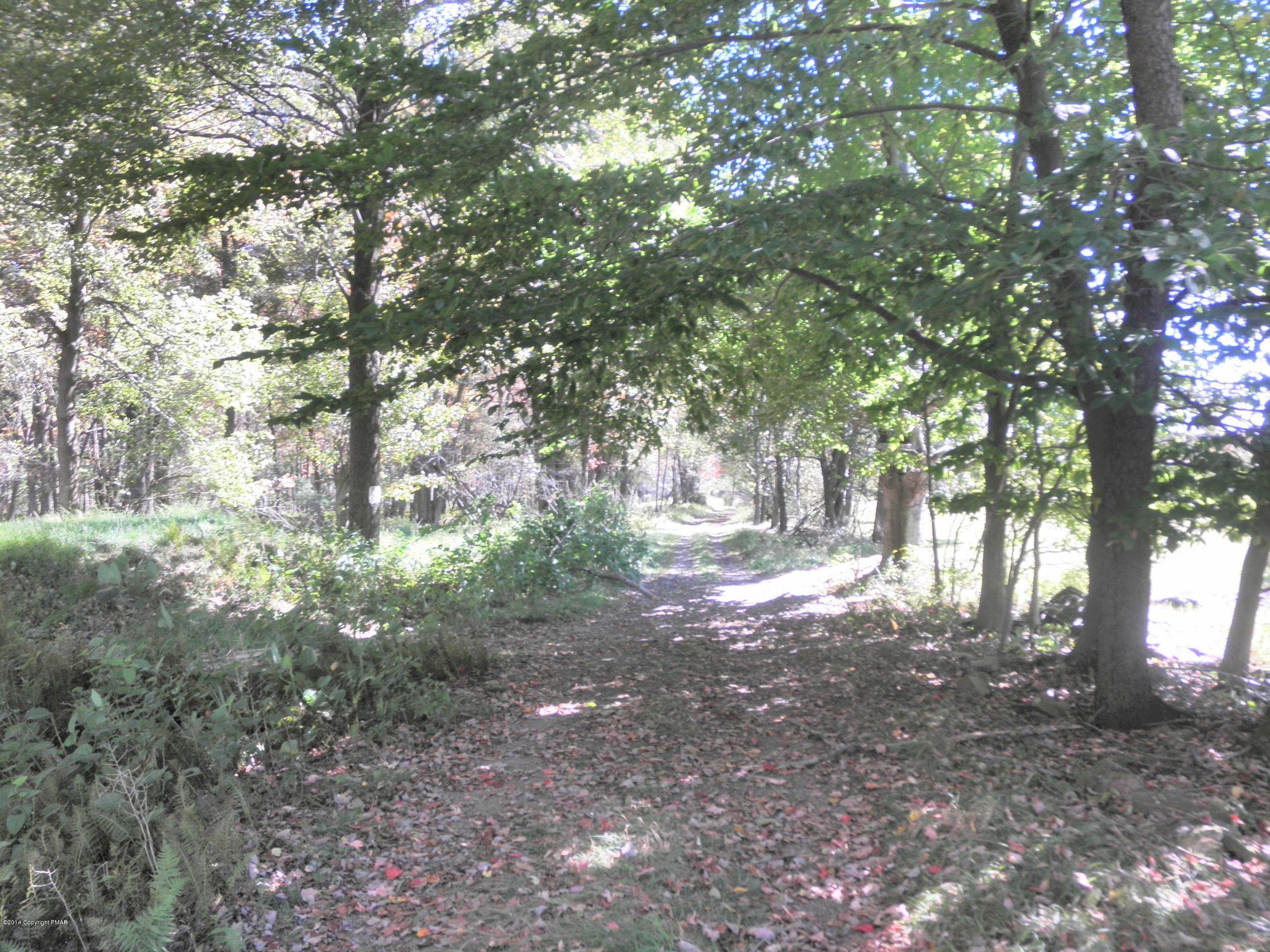224 Clearview Road Long Pond, PA 18334 - Photo 2 of 4 a view of a yard with a tree