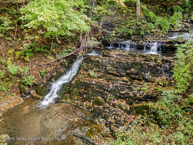 a view of a yard with plants and trees
