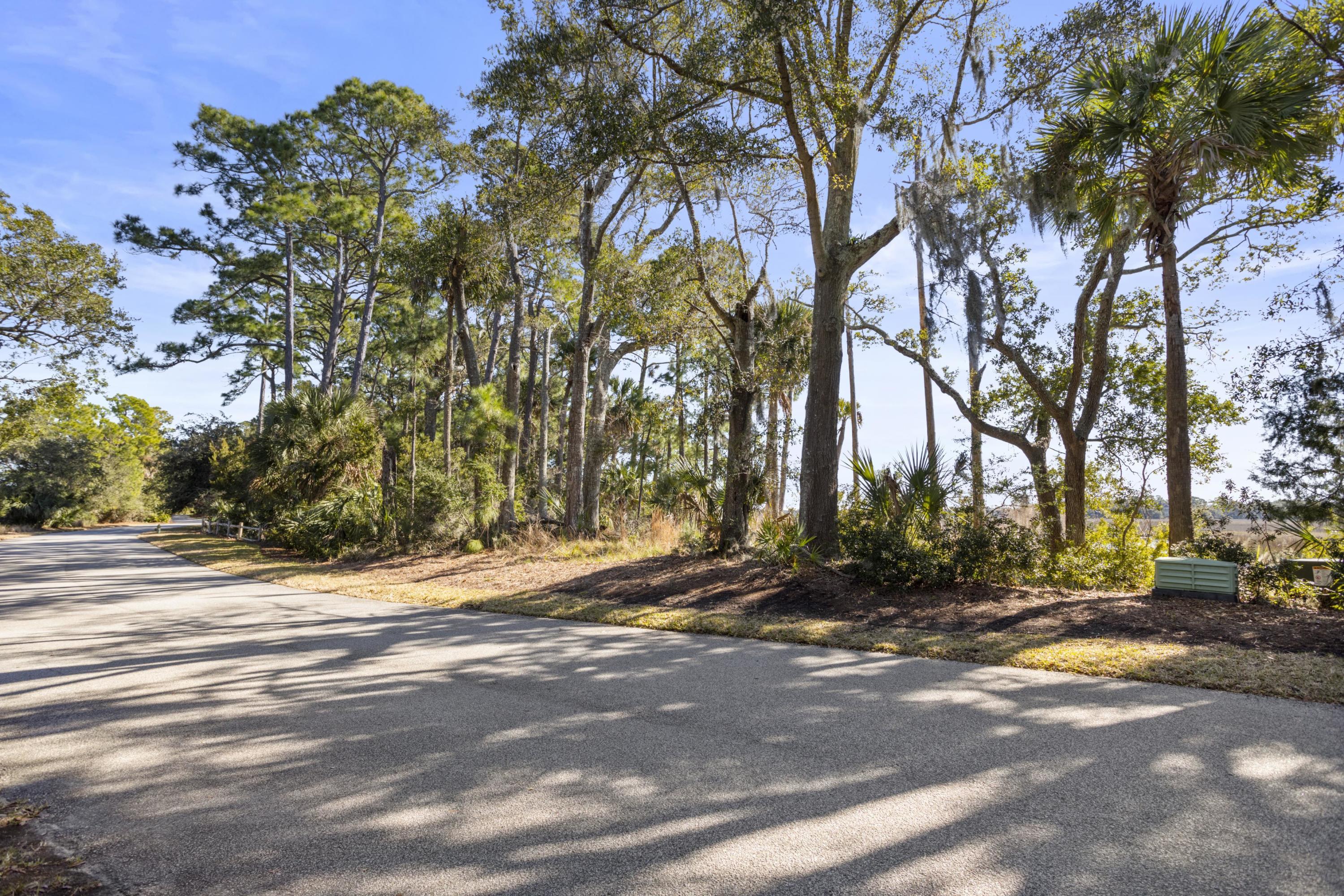 222 Eagle Point Road Kiawah Island, SC 29455 - Photo 12 of 18 CoastalRePhoto_SA_3999