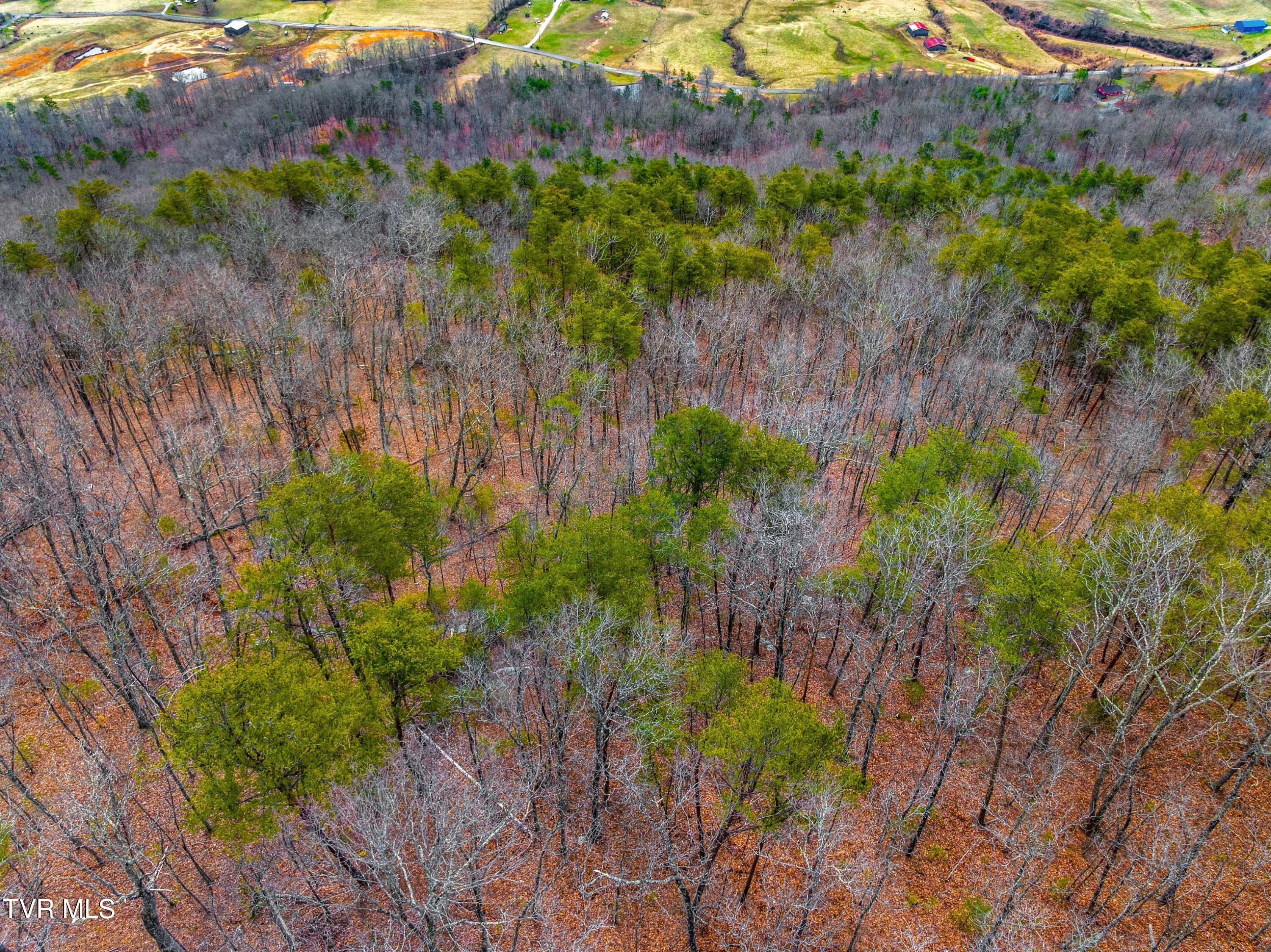 0 Poor Valley Road Rogersville, TN 37857 - Photo 12 of 23 012-Poorvalleyroad-06104704-Rogersville-