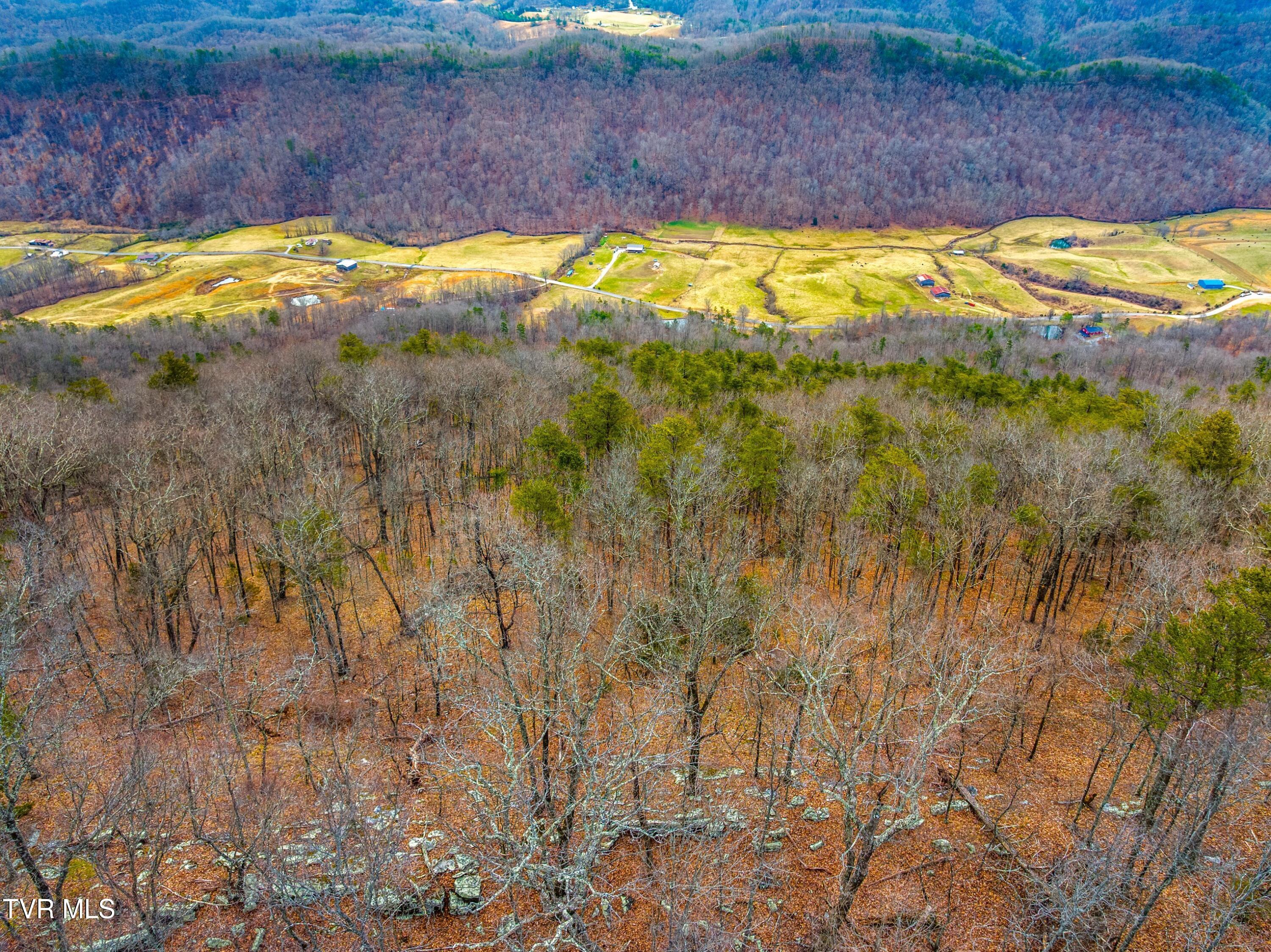 0 Poor Valley Road Rogersville, TN 37857 - Photo 14 of 23 010-Poorvalleyroad-06104704-Rogersville-