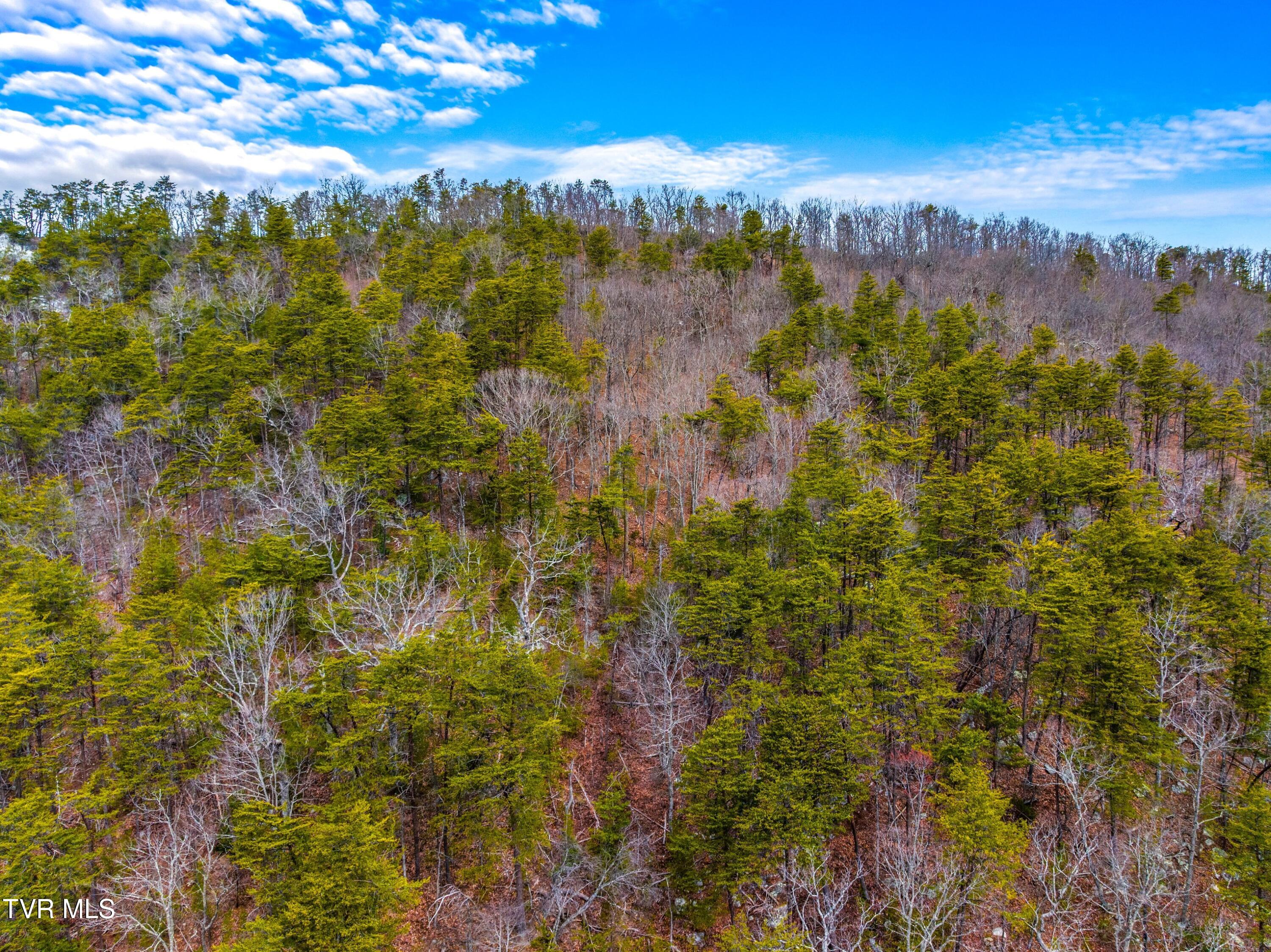 0 Poor Valley Road Rogersville, TN 37857 - Photo 15 of 23 007-Poorvalleyroad-06104704-Rogersville-