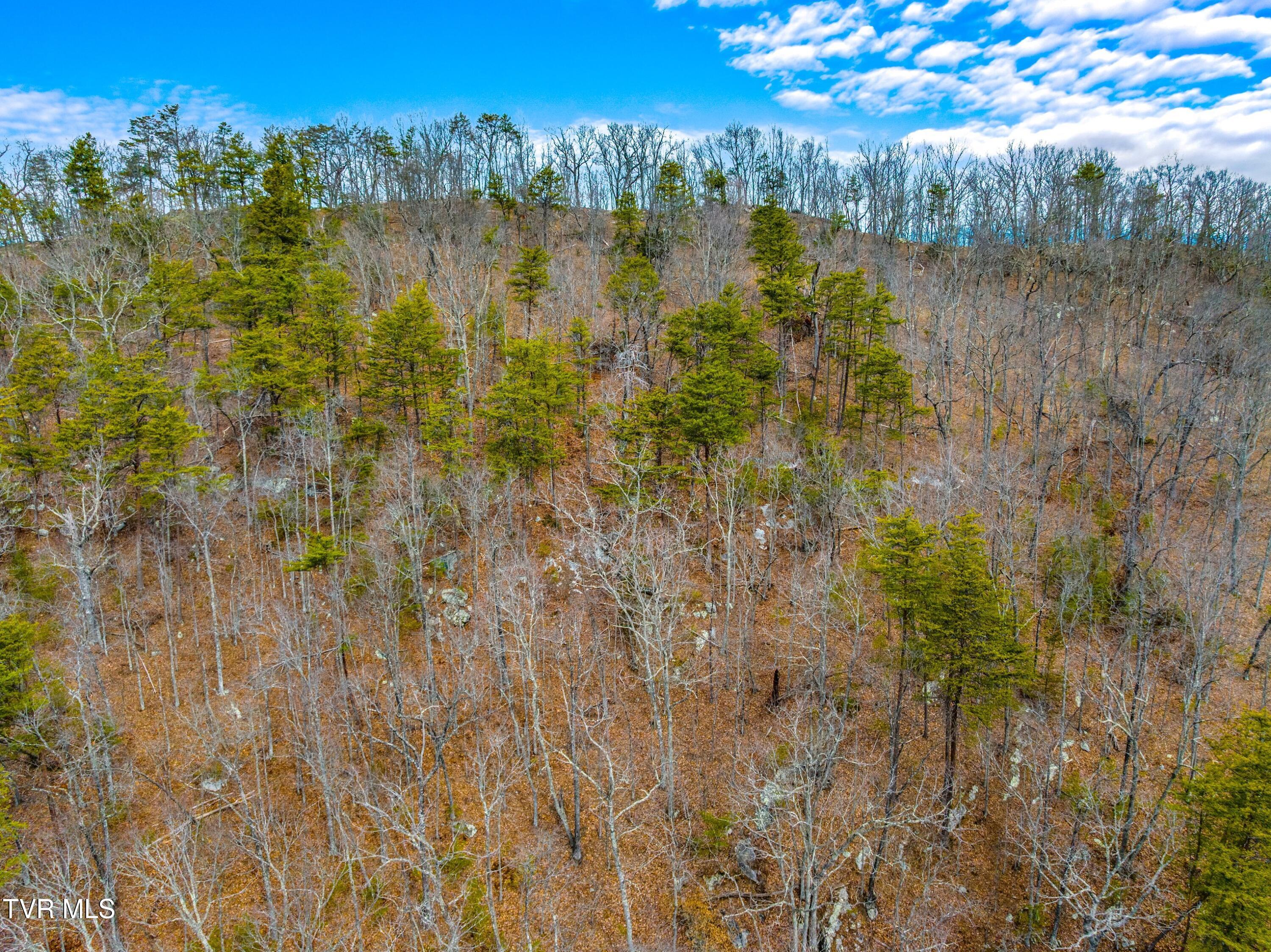 0 Poor Valley Road Rogersville, TN 37857 - Photo 16 of 23 008-Poorvalleyroad-06104704-Rogersville-