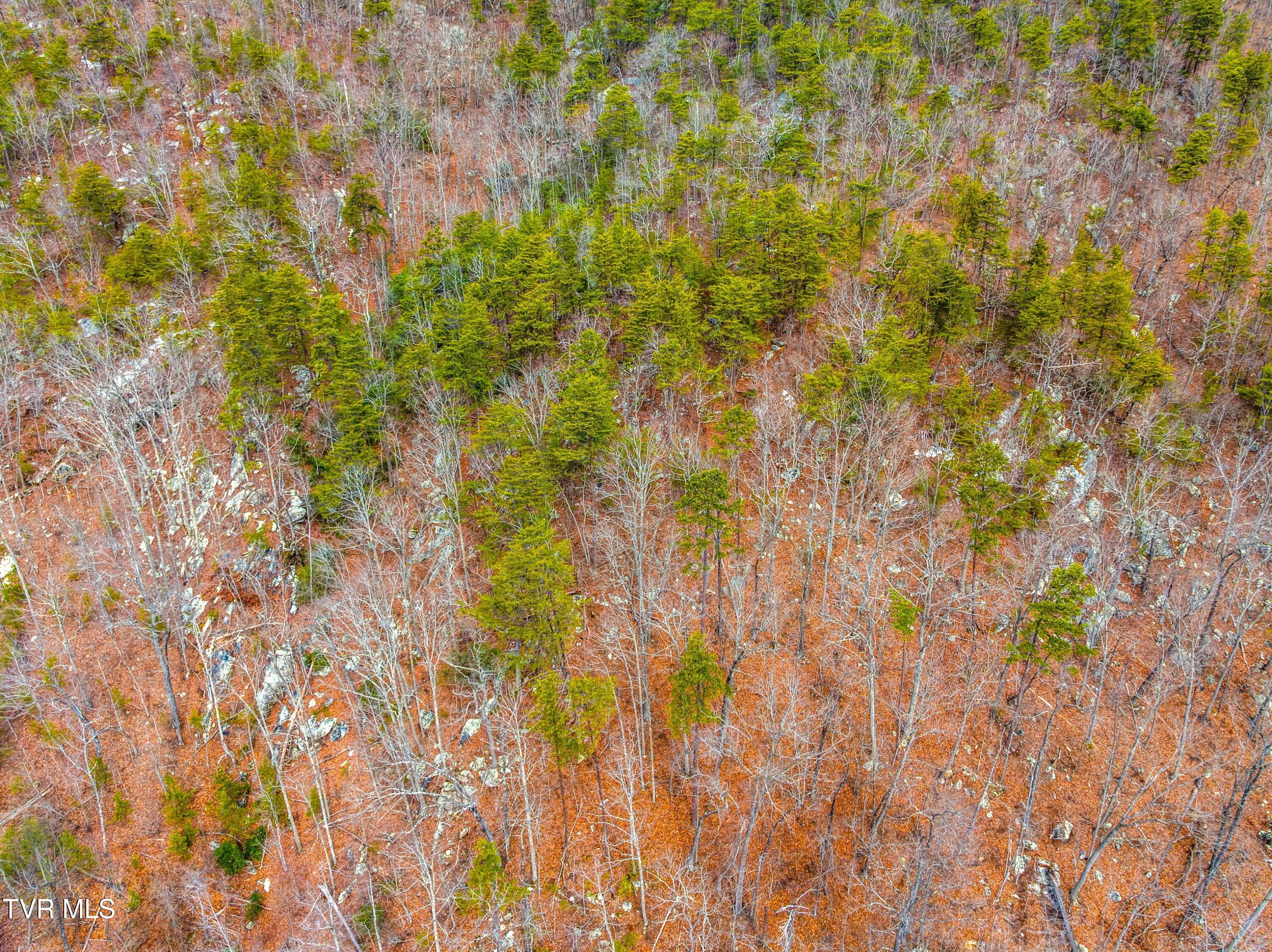 0 Poor Valley Road Rogersville, TN 37857 - Photo 17 of 23 005-Poorvalleyroad-06104704-Rogersville-