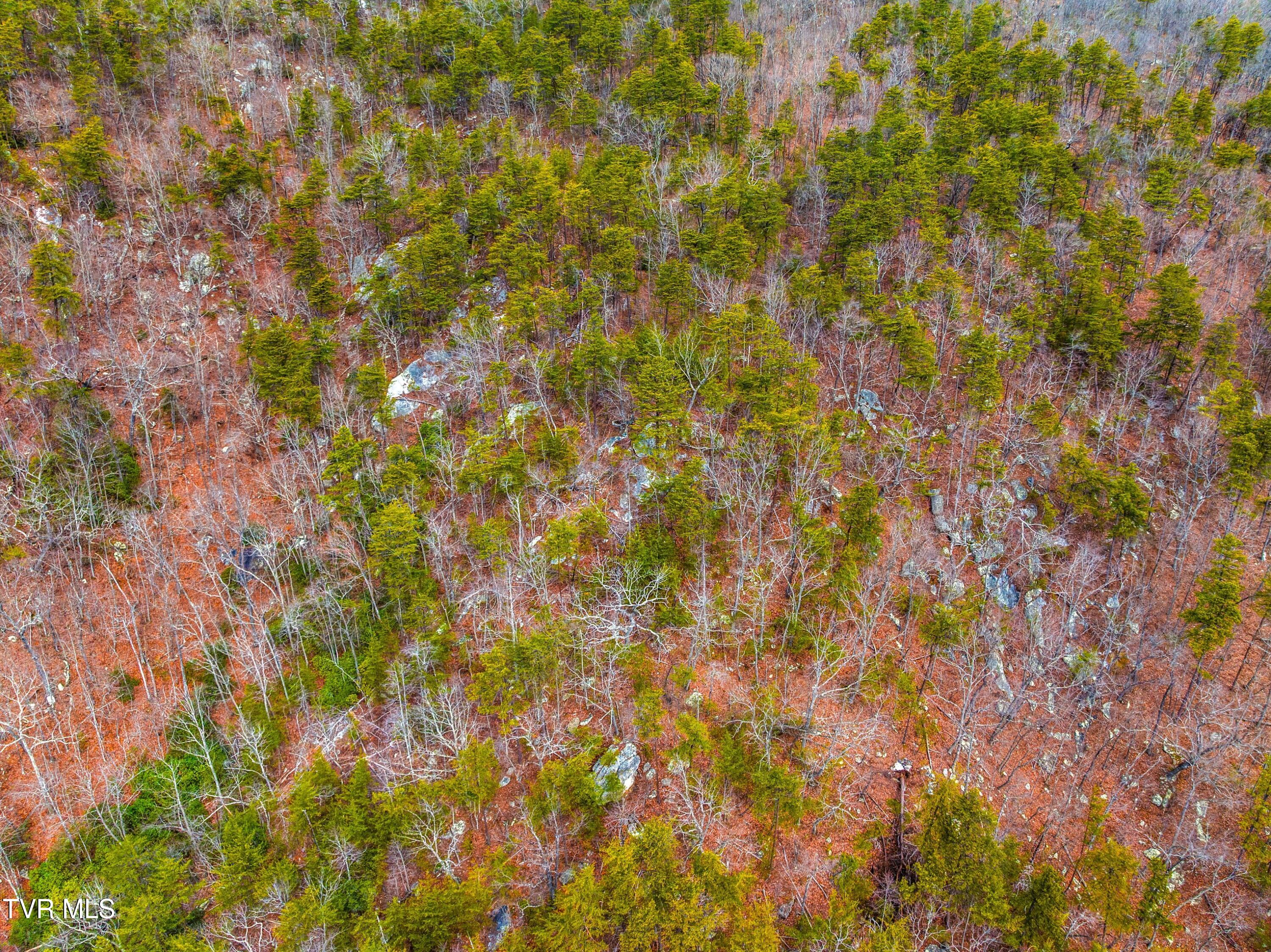 0 Poor Valley Road Rogersville, TN 37857 - Photo 18 of 23 006-Poorvalleyroad-06104704-Rogersville-