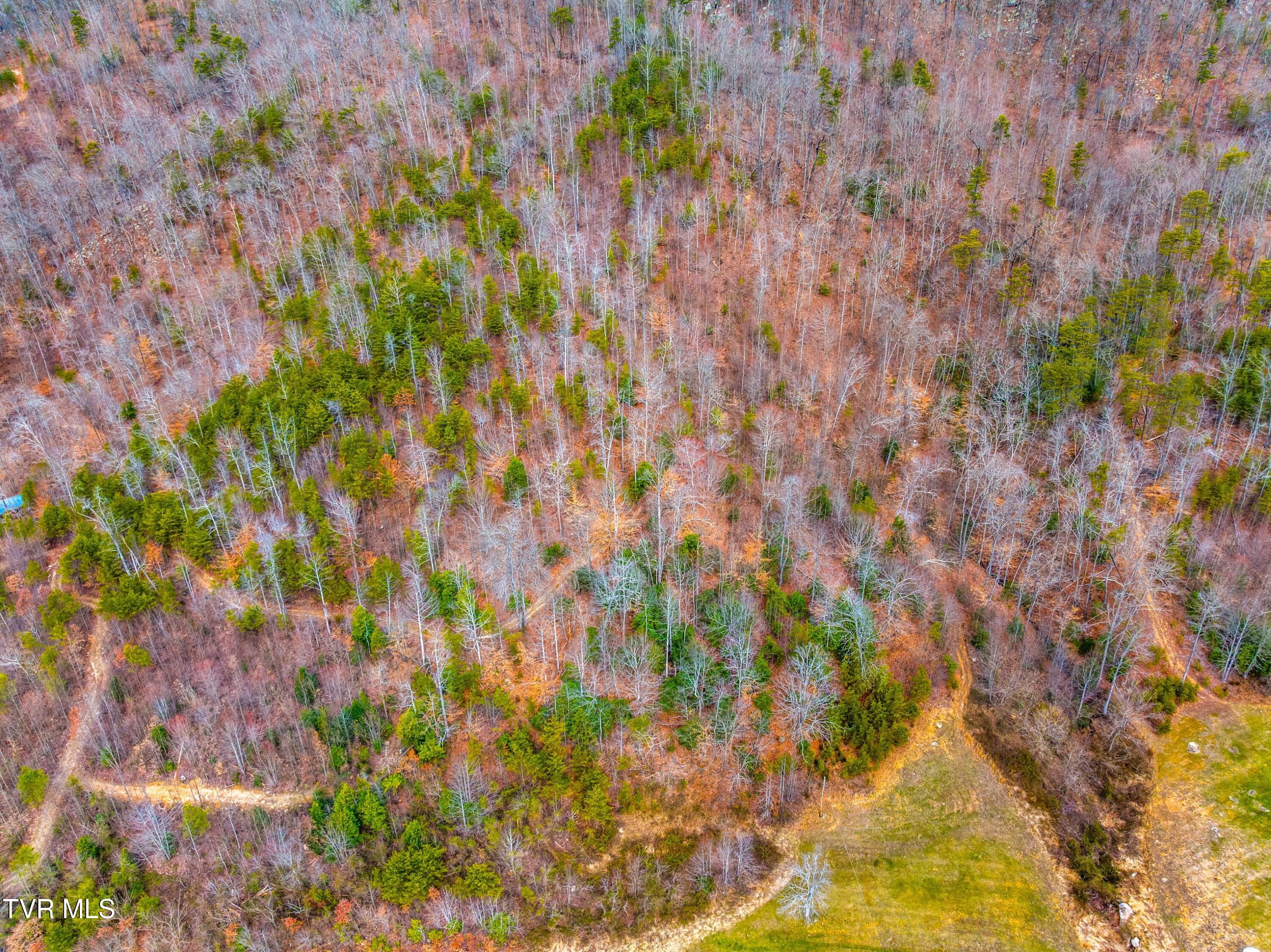 0 Poor Valley Road Rogersville, TN 37857 - Photo 19 of 23 002-Poorvalleyroad-06104704-Rogersville-