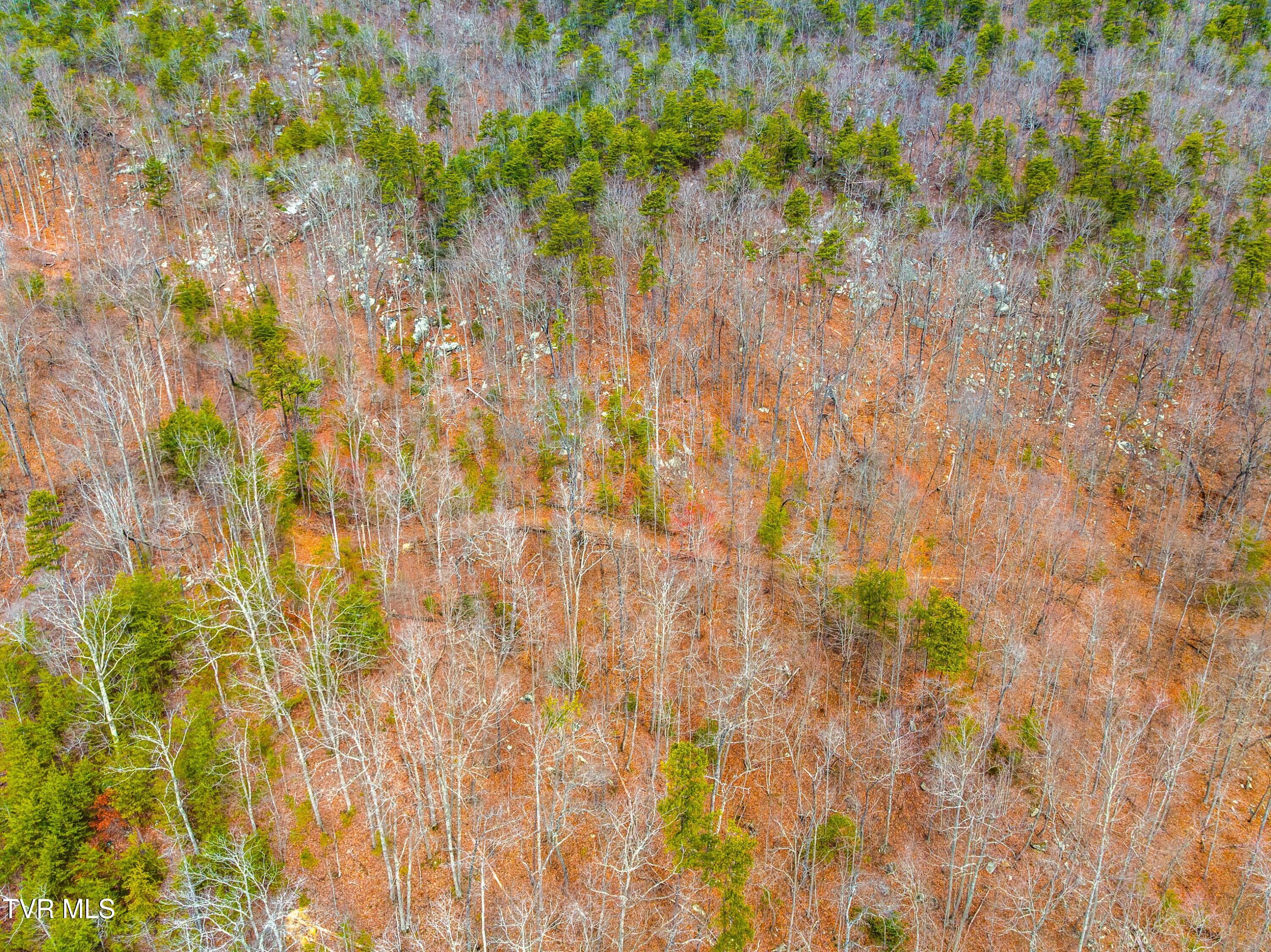 0 Poor Valley Road Rogersville, TN 37857 - Photo 20 of 23 004-Poorvalleyroad-06104704-Rogersville-