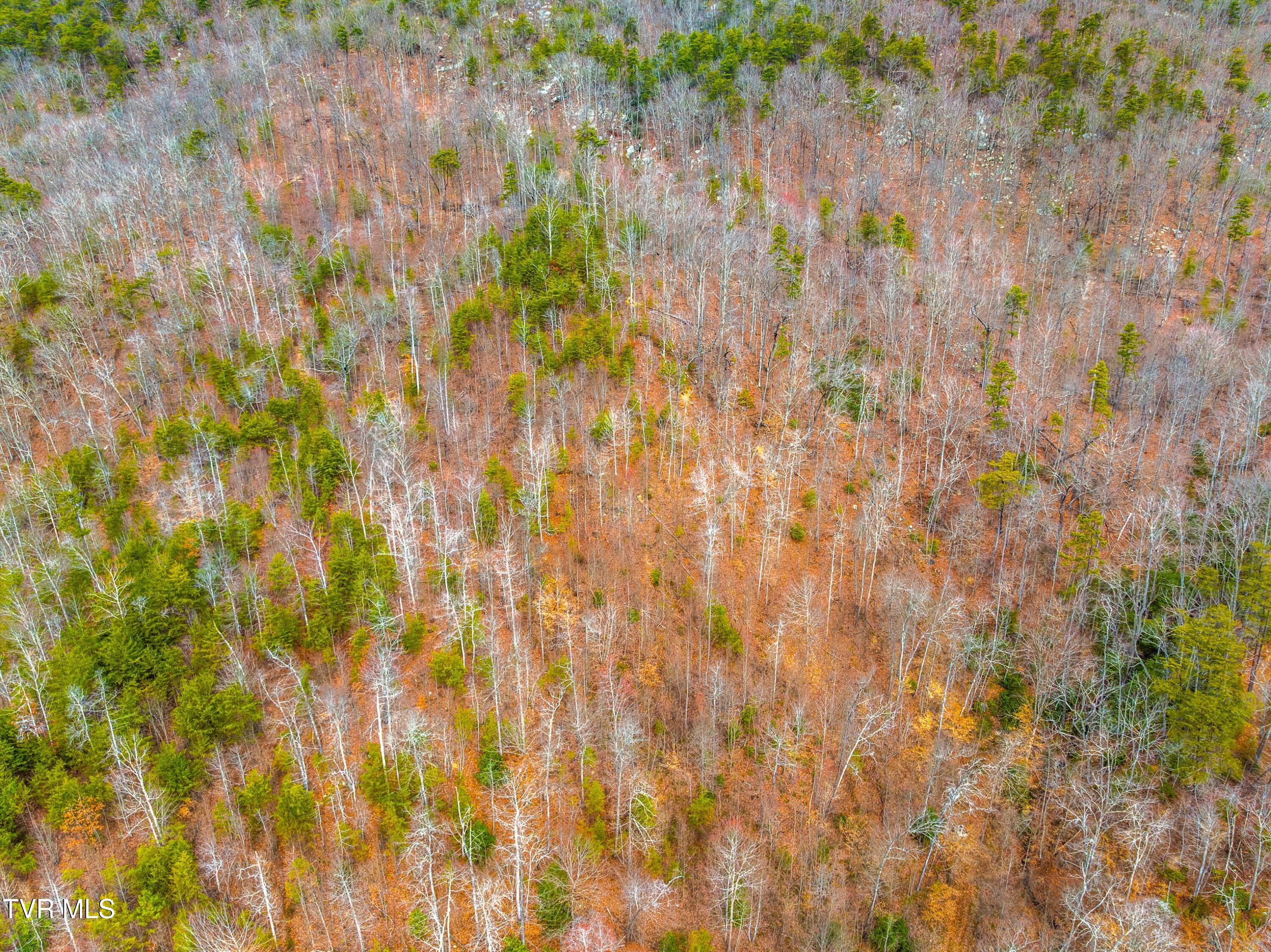 0 Poor Valley Road Rogersville, TN 37857 - Photo 21 of 23 003-Poorvalleyroad-06104704-Rogersville-