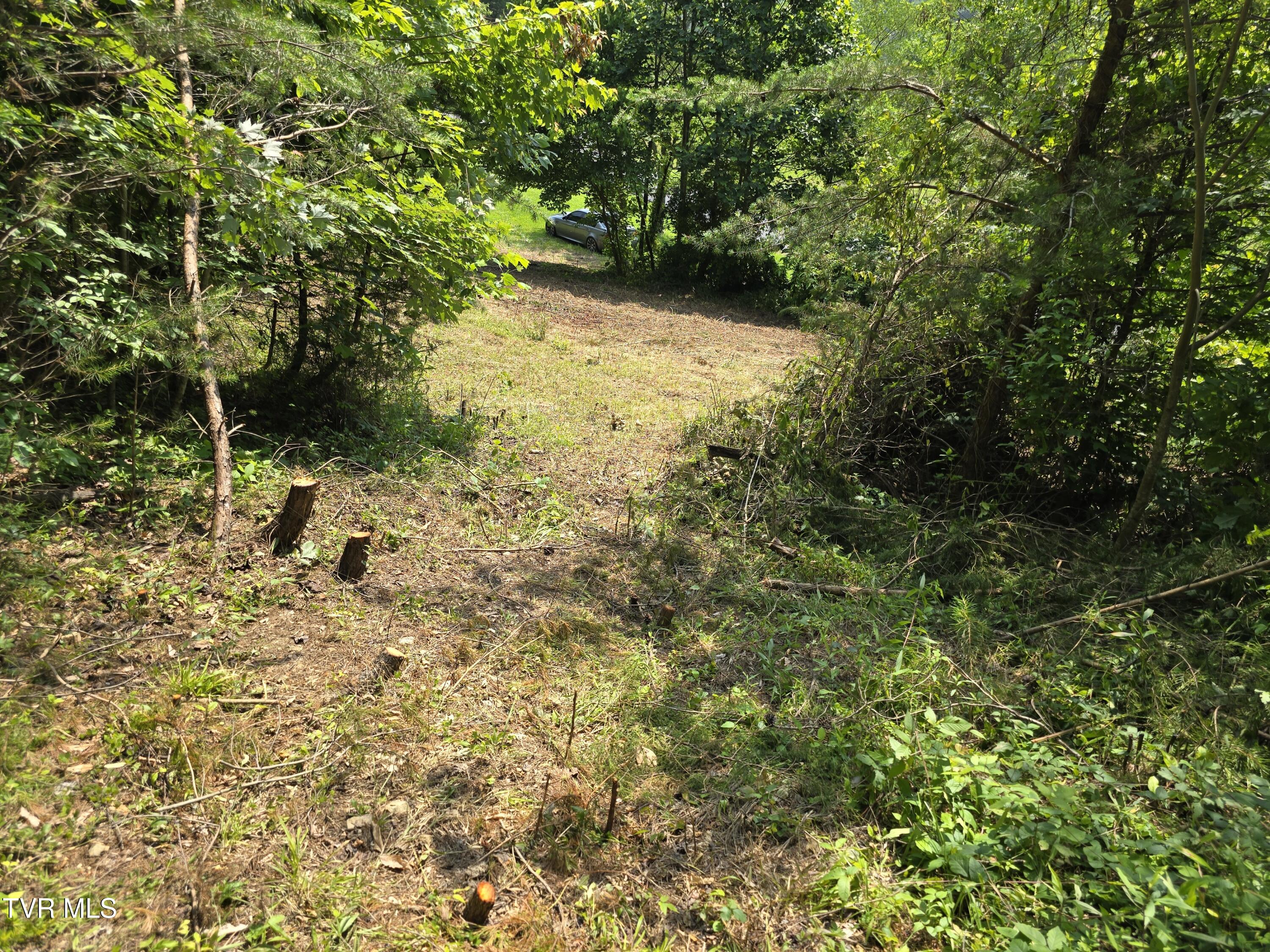 0 Poor Valley Road Rogersville, TN 37857 - Photo 22 of 23 EBB4B1FD-D388-401D-8C17-DFCFBC55A3DE