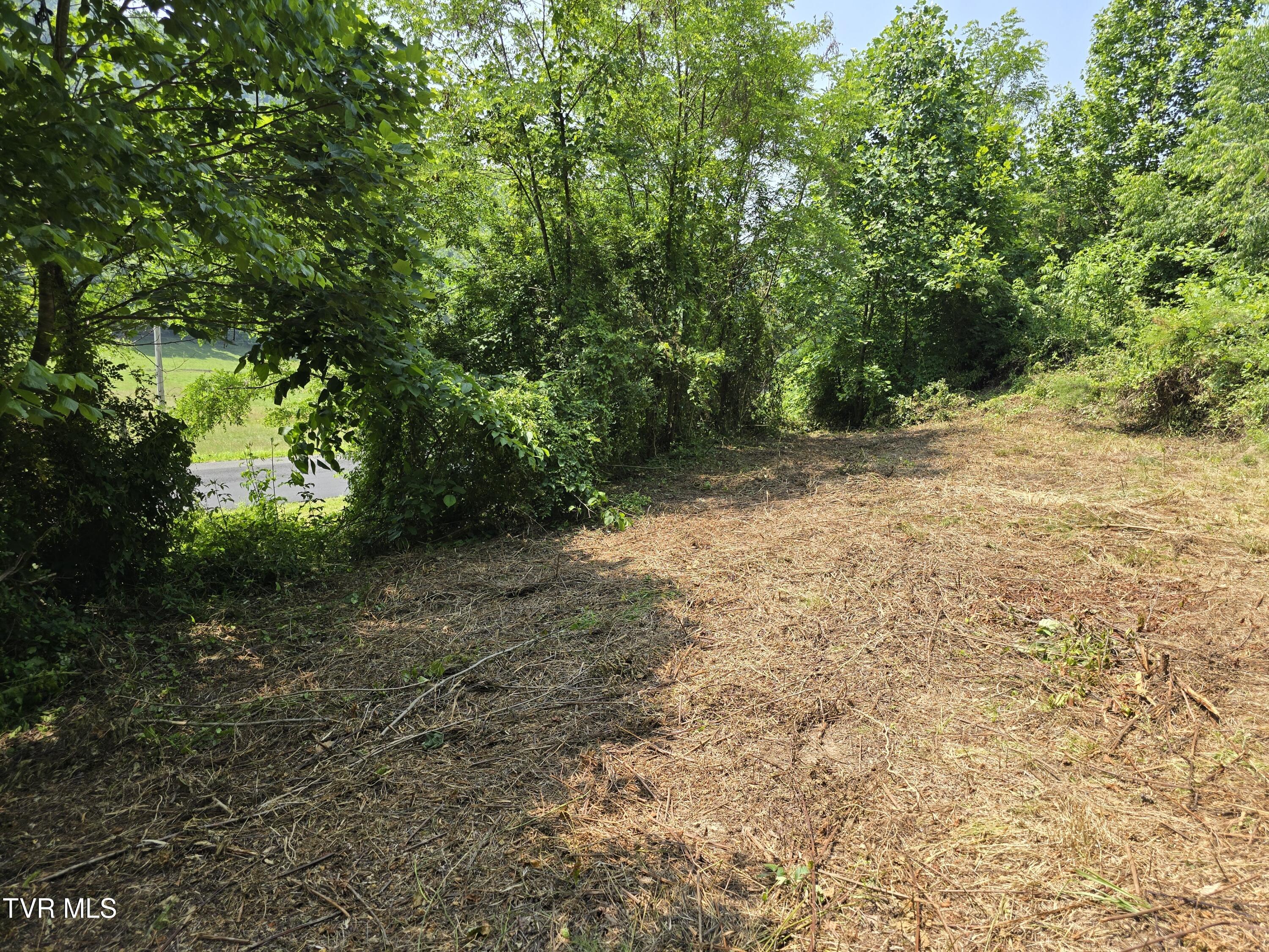 0 Poor Valley Road Rogersville, TN 37857 - Photo 23 of 23 4554F839-2DF7-4518-AA69-21C57504C144