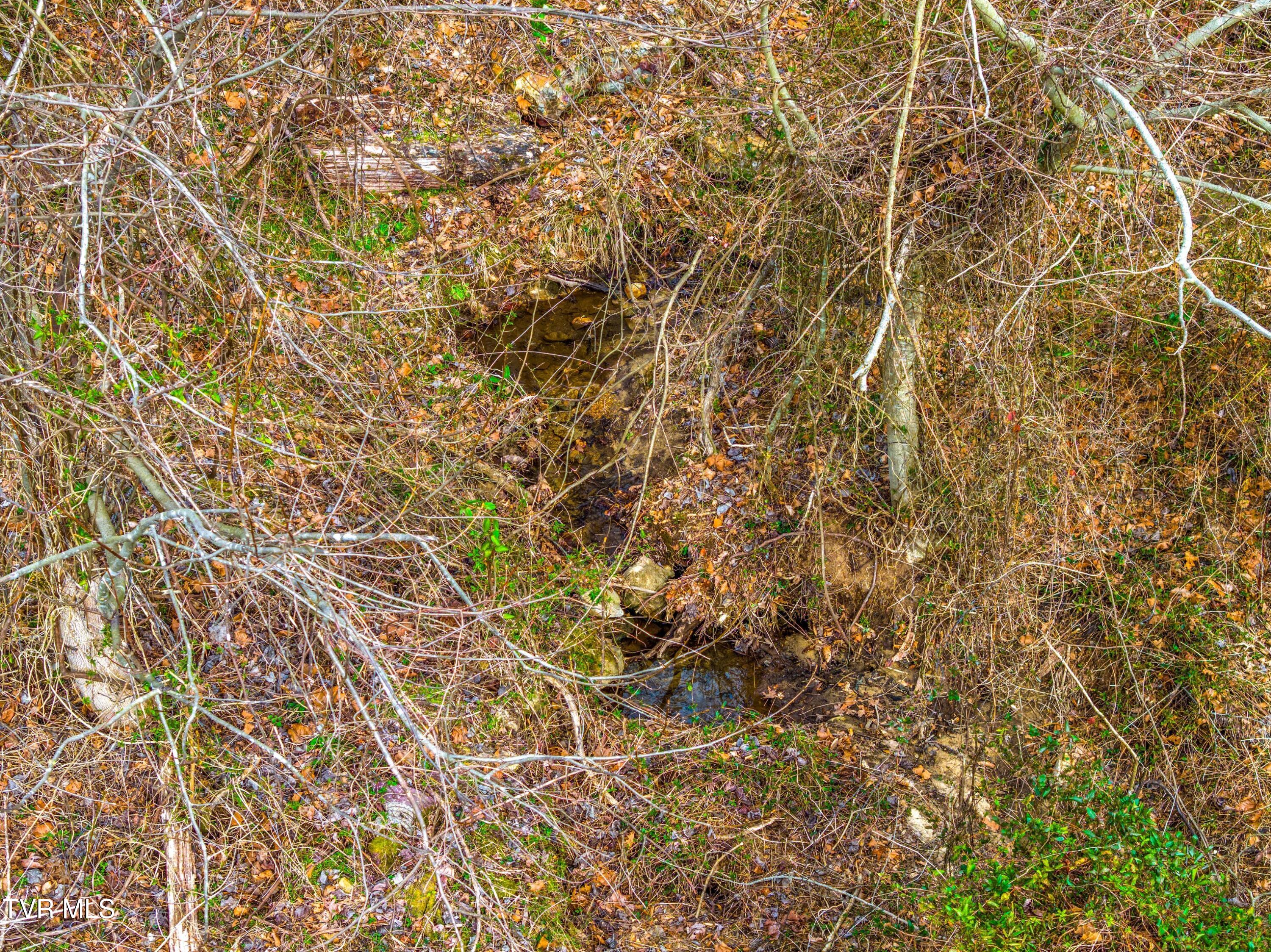 0 Poor Valley Road Rogersville, TN 37857 - Photo 5 of 23 017-Poorvalleyroad-06104704-Rogersville-