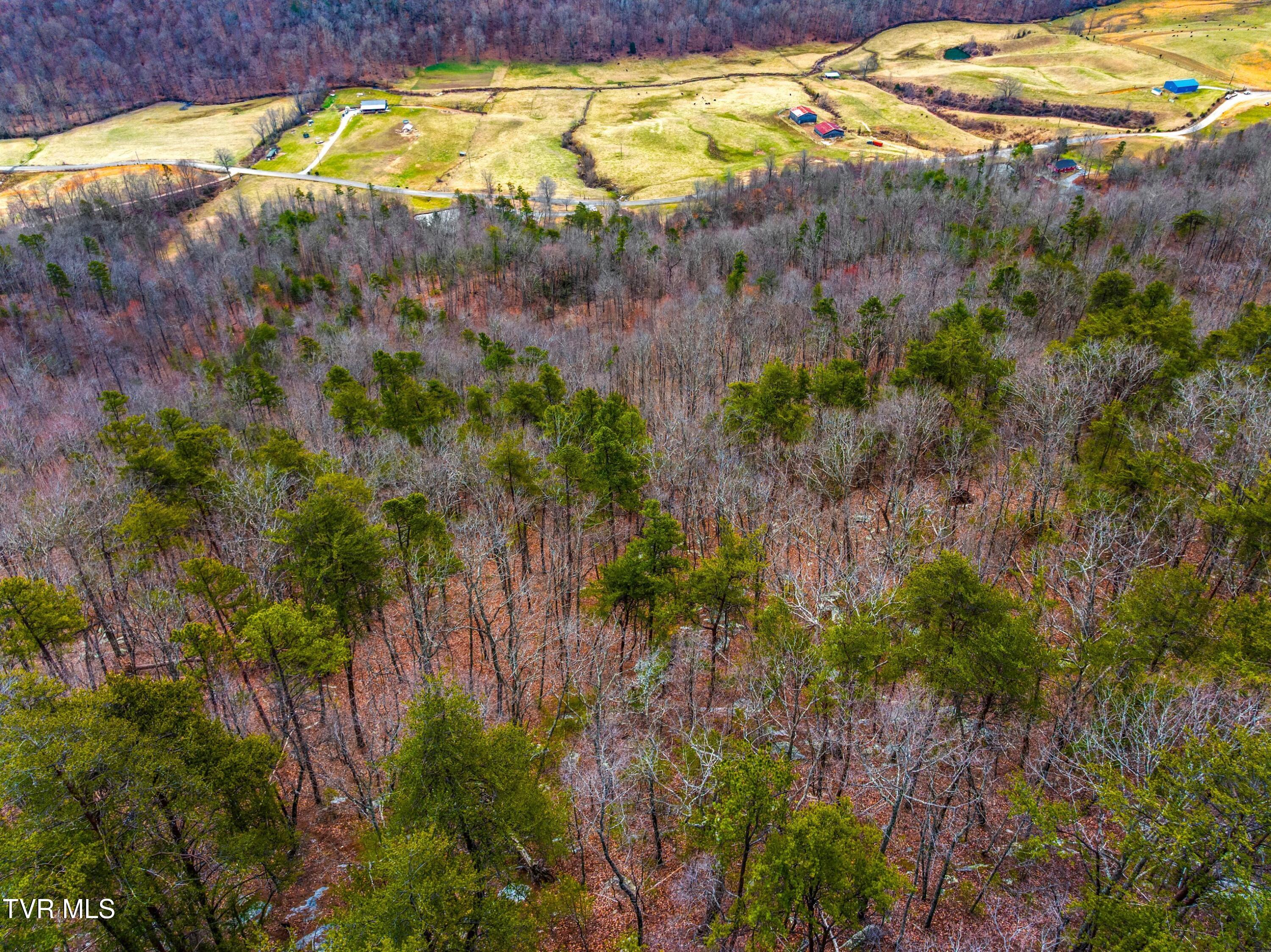 0 Poor Valley Road Rogersville, TN 37857 - Photo 9 of 23 013-Poorvalleyroad-06104704-Rogersville-