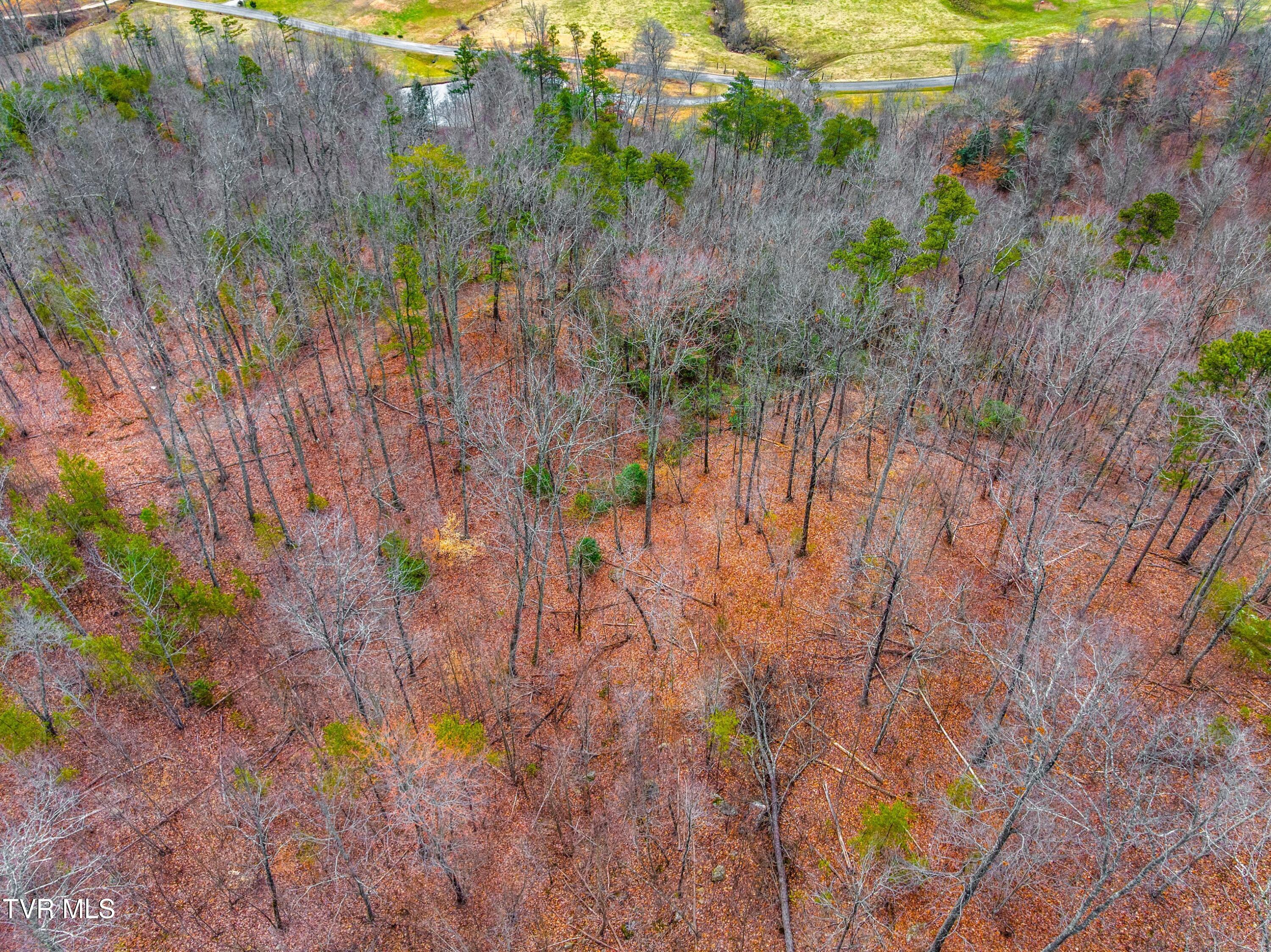 0 Poor Valley Road Rogersville, TN 37857 - Photo 10 of 23 014-Poorvalleyroad-06104704-Rogersville-