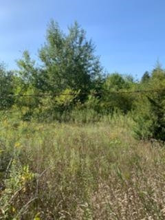V/l Grossman Road Manchester, MI 48158 - Photo 3 of 6