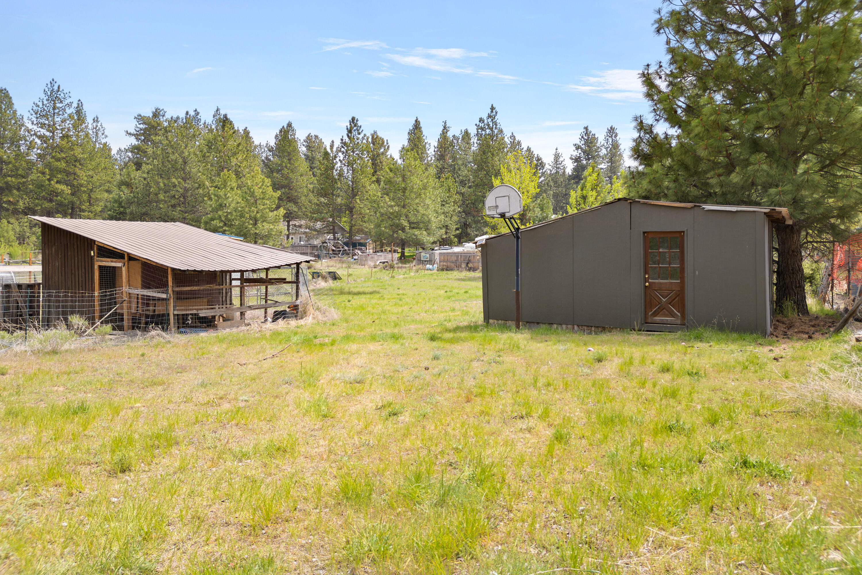 19143 Pumice Butte Road Bend, OR 97702 - Photo 15 of 19 a view of a house with backyard and tree