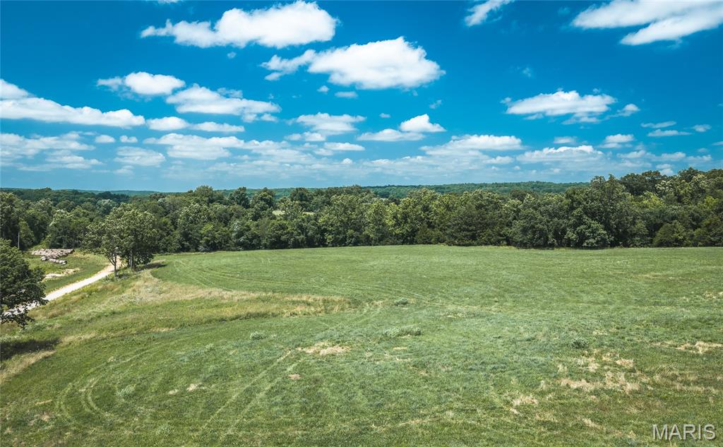 171 Czar Tower Road Steelville, MO 65565 - Photo 40 of 54