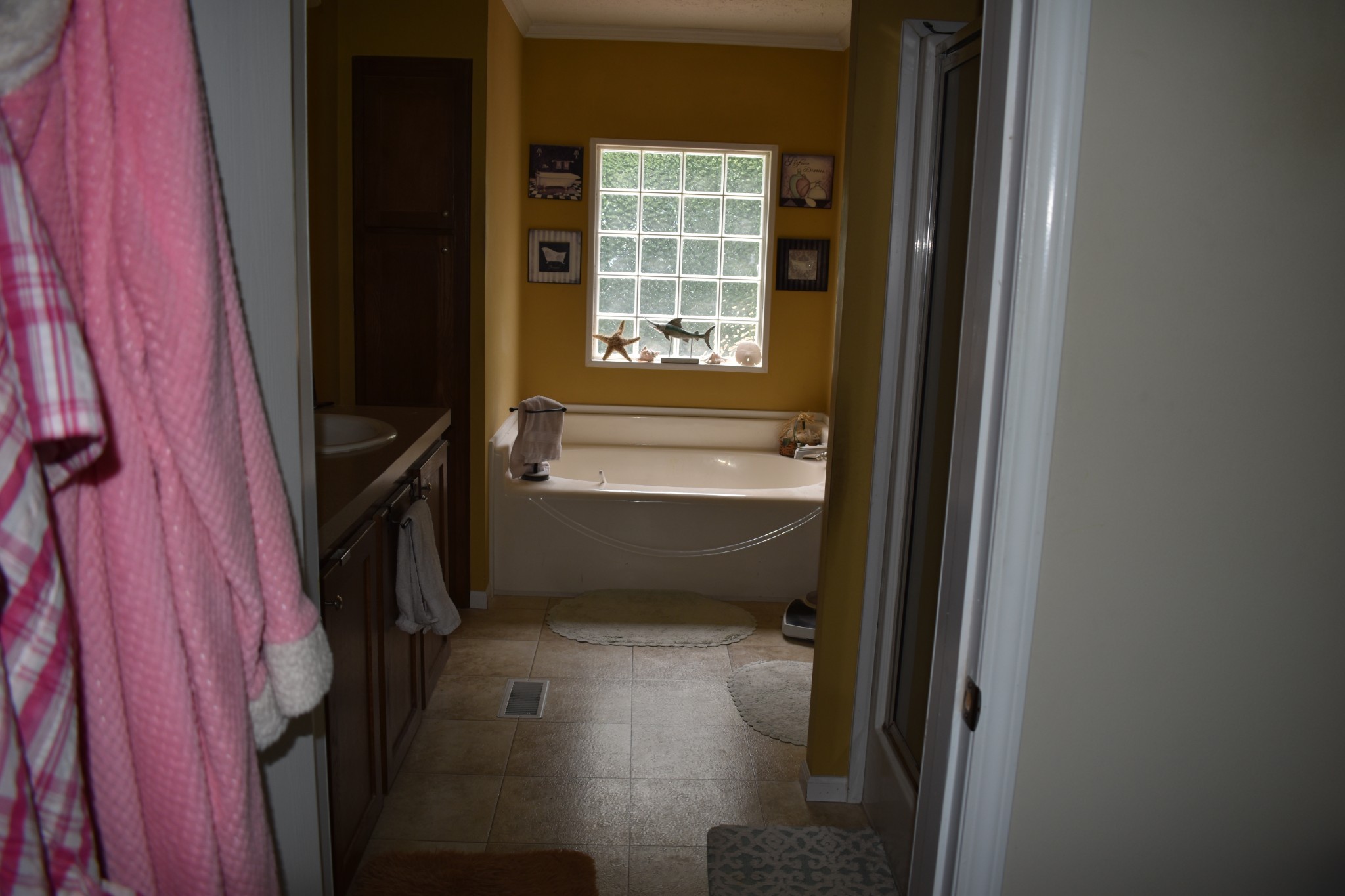 1423 Pack Road White Bluff, TN 37187 - Photo 19 of 50 a bathroom with a bathtub and a window