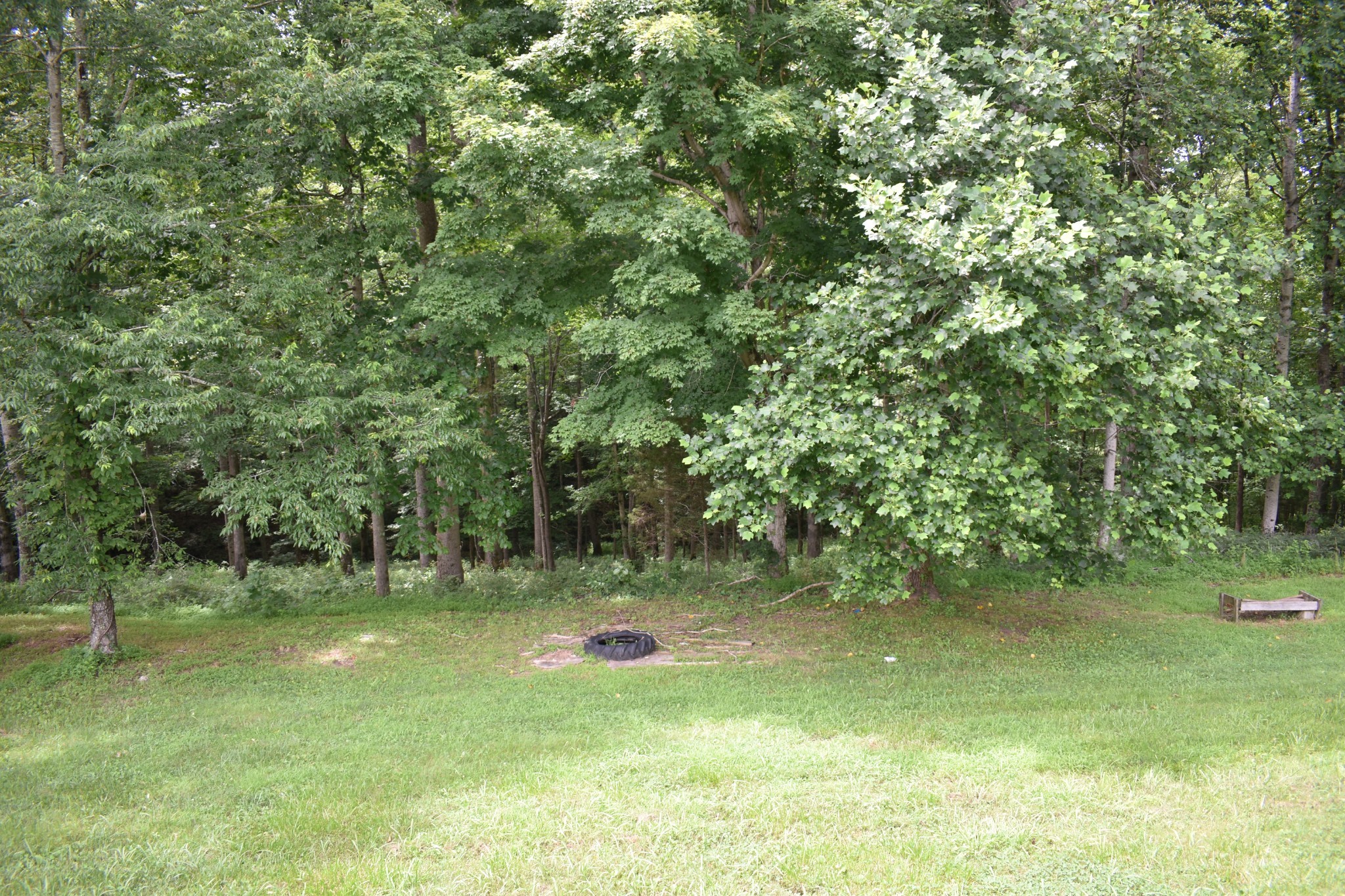 1423 Pack Road White Bluff, TN 37187 - Photo 36 of 50 a view of a garden with a tree