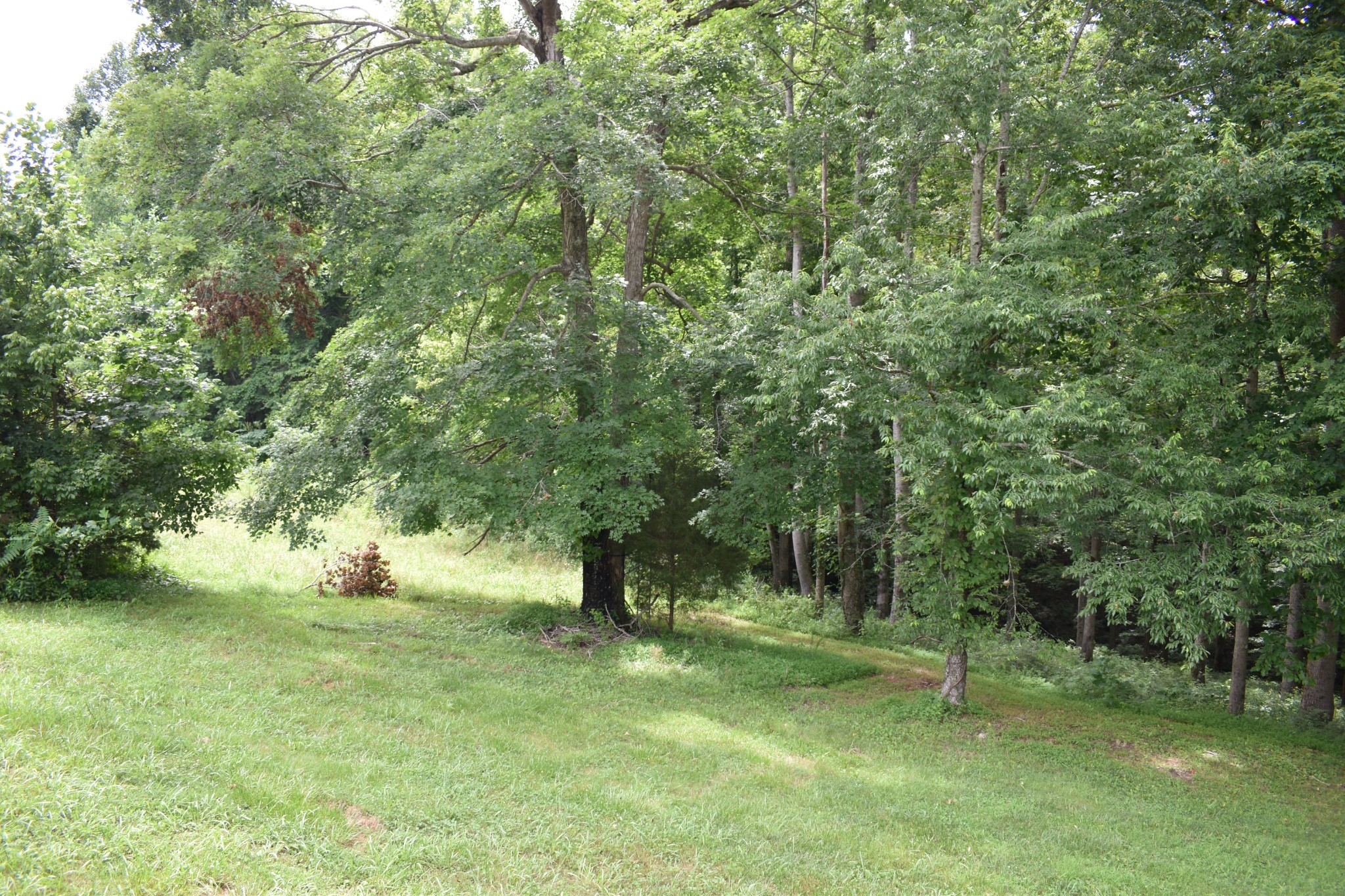 1423 Pack Road White Bluff, TN 37187 - Photo 38 of 50 a view of outdoor space with a garden