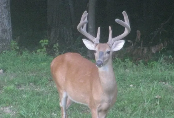 $377,398 | 1423 Pack Road, White Bluff, TN 37187