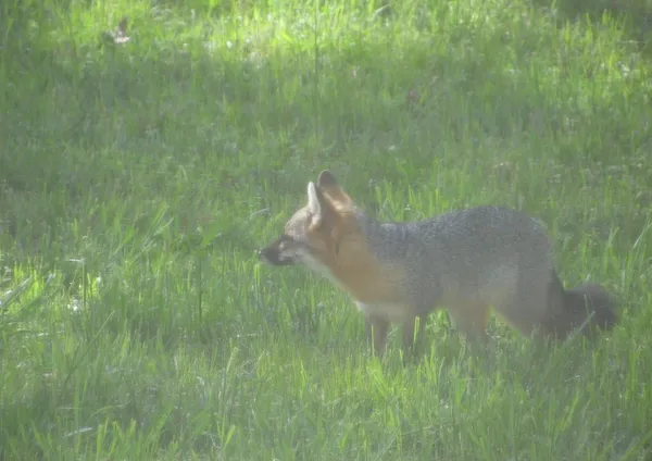 $377,398 | 1423 Pack Road, White Bluff, TN 37187