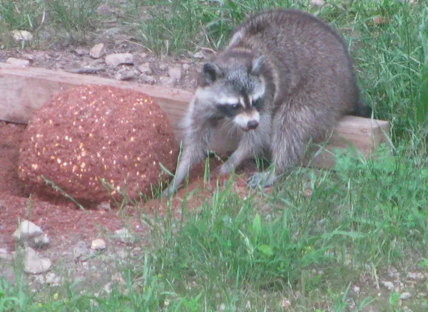 $377,398 | 1423 Pack Road, White Bluff, TN 37187